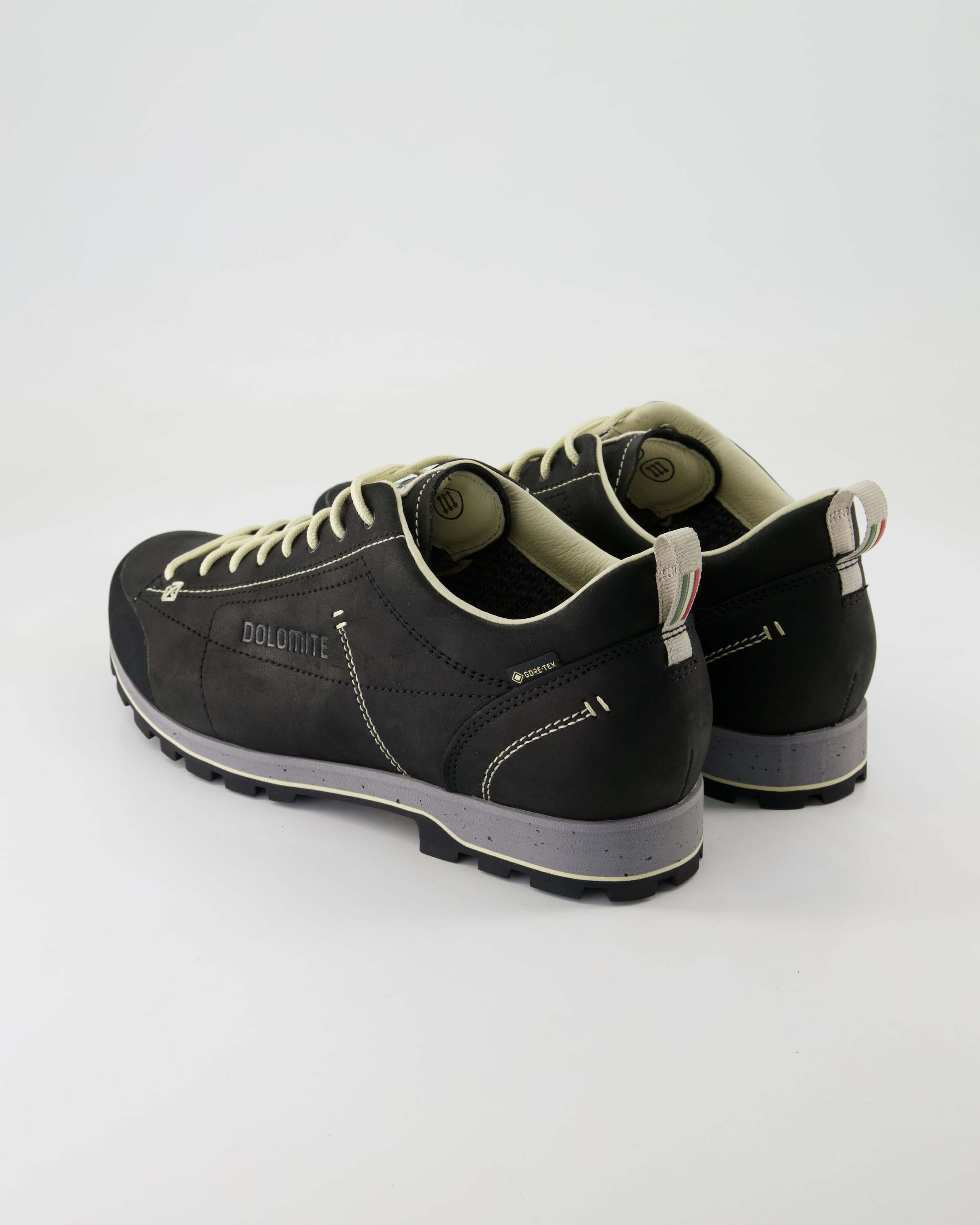 Dolomite Low Fg Evo GTX Wanderschuh Obermaterial: Leder