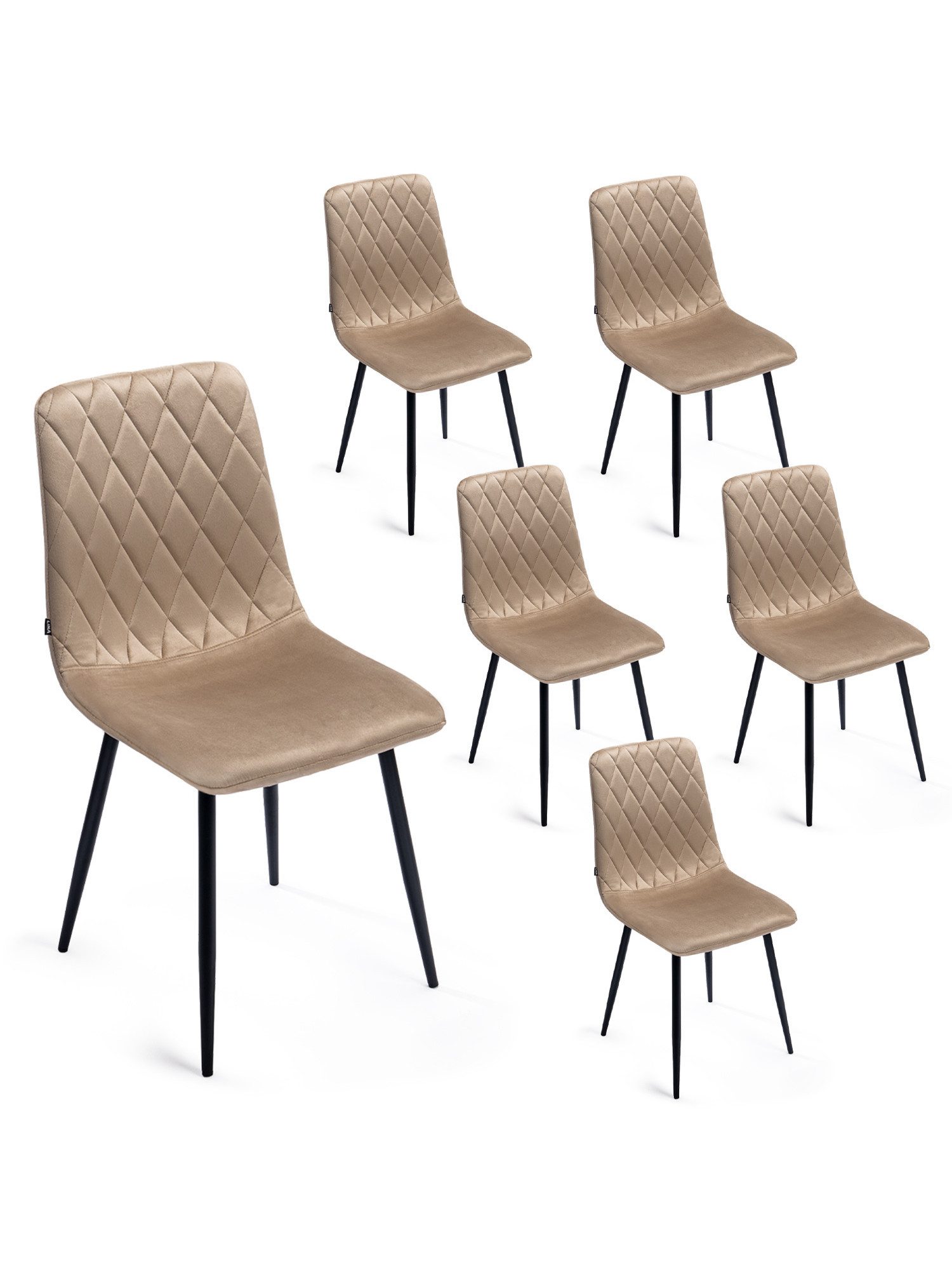 Lina® Esszimmerstuhl Elisia 2er, 4er, 6er Set, Samt & Metall, Modern & Komfortabel (Einzelstuhl (wahlweise im 2er, 4er oder 6er Set erhältlich – falls varyant, 6 St), Ergonomisch geformt, modernes Design, Samtbezug