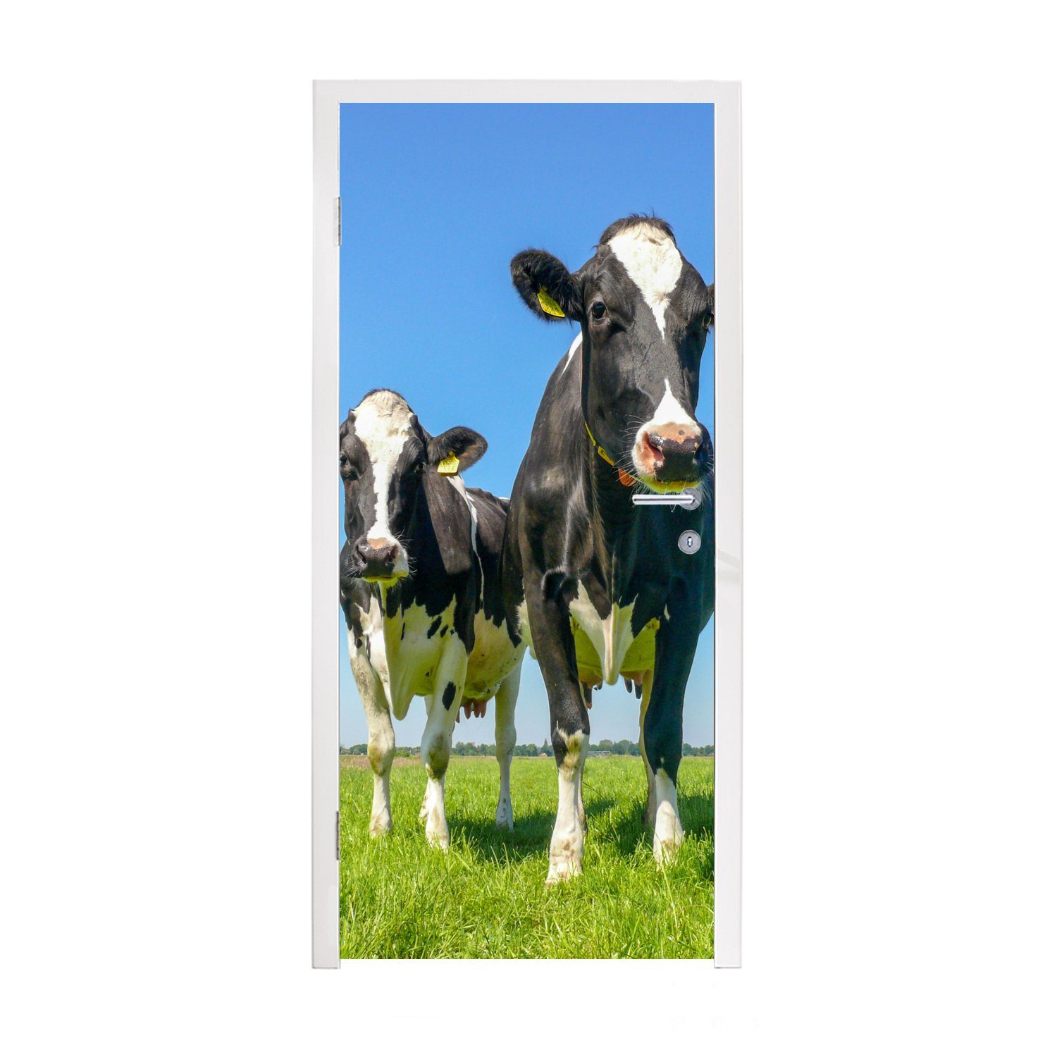 MuchoWow Türtapete Kühe - Weide - Tiere - Bauernhof, Matt, bedruckt, (1 St), Fototapete für Tür, Türaufkleber, 75x205 cm