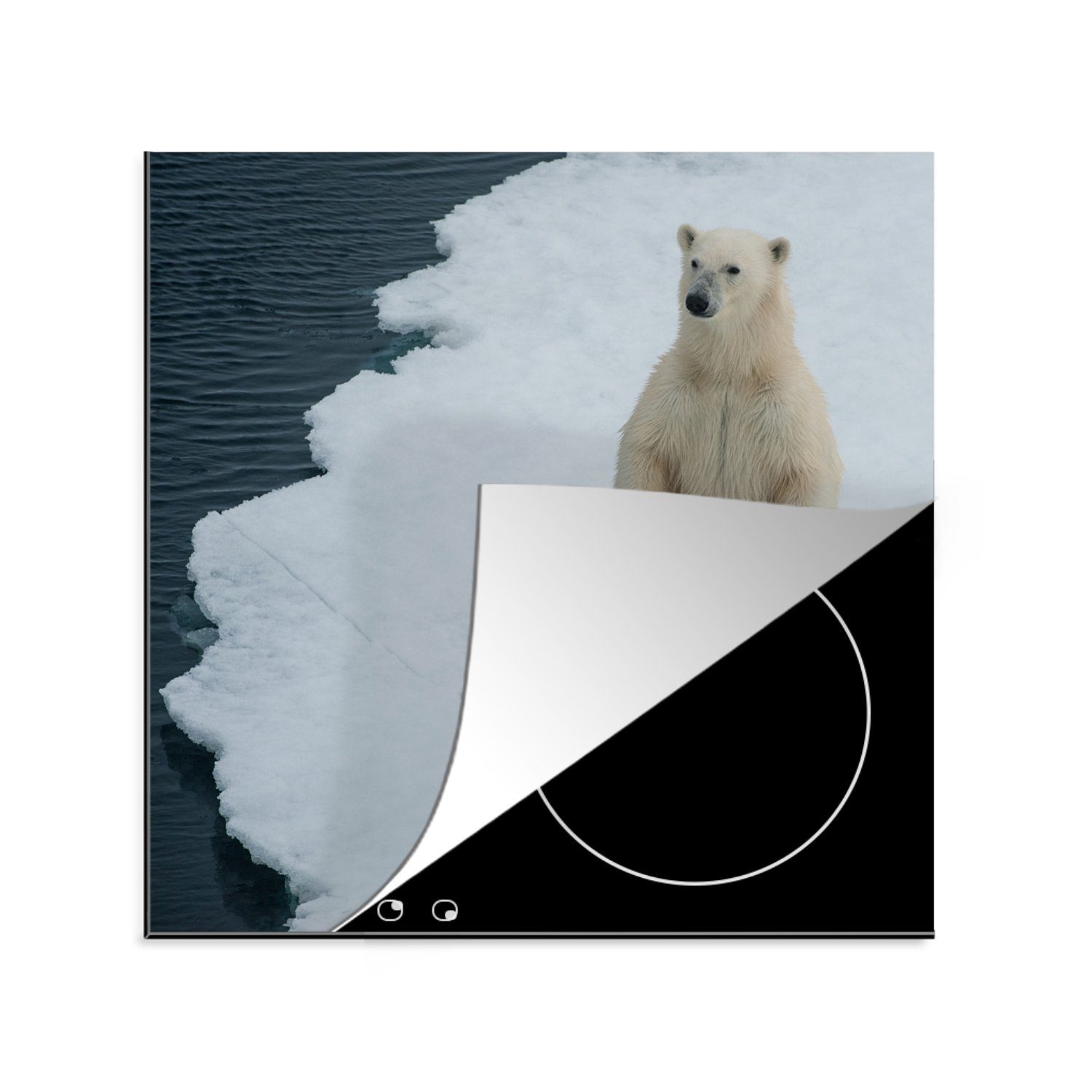 Eis Wasser, tlg), - Vinyl, - MuchoWow küche für Eisbär Ceranfeldabdeckung, 78x78 (1 Arbeitsplatte Herdblende-/Abdeckplatte cm,