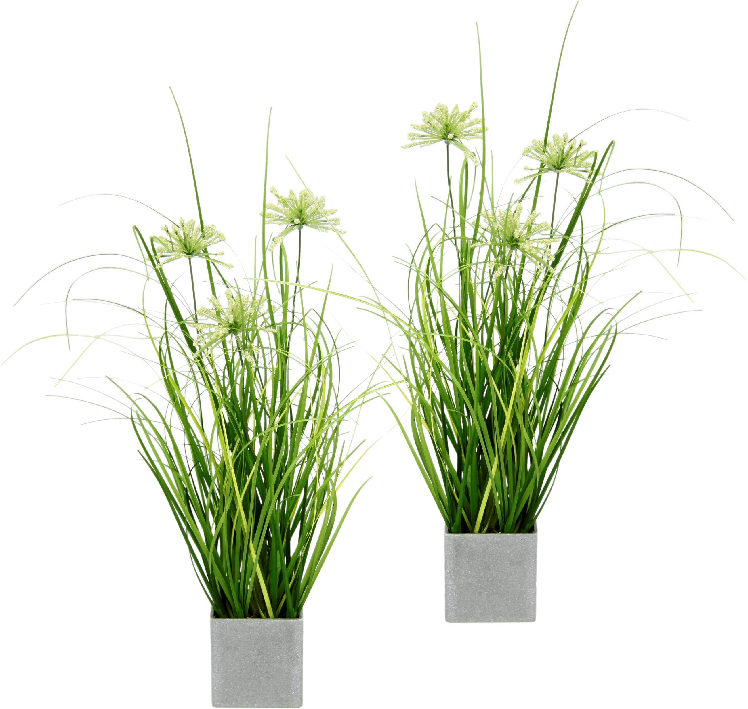 Kunstpflanze Grasbusch im Topf Gras, I.GE.A., Höhe 32 cm, 2er Set Gräser Ku günstig online kaufen