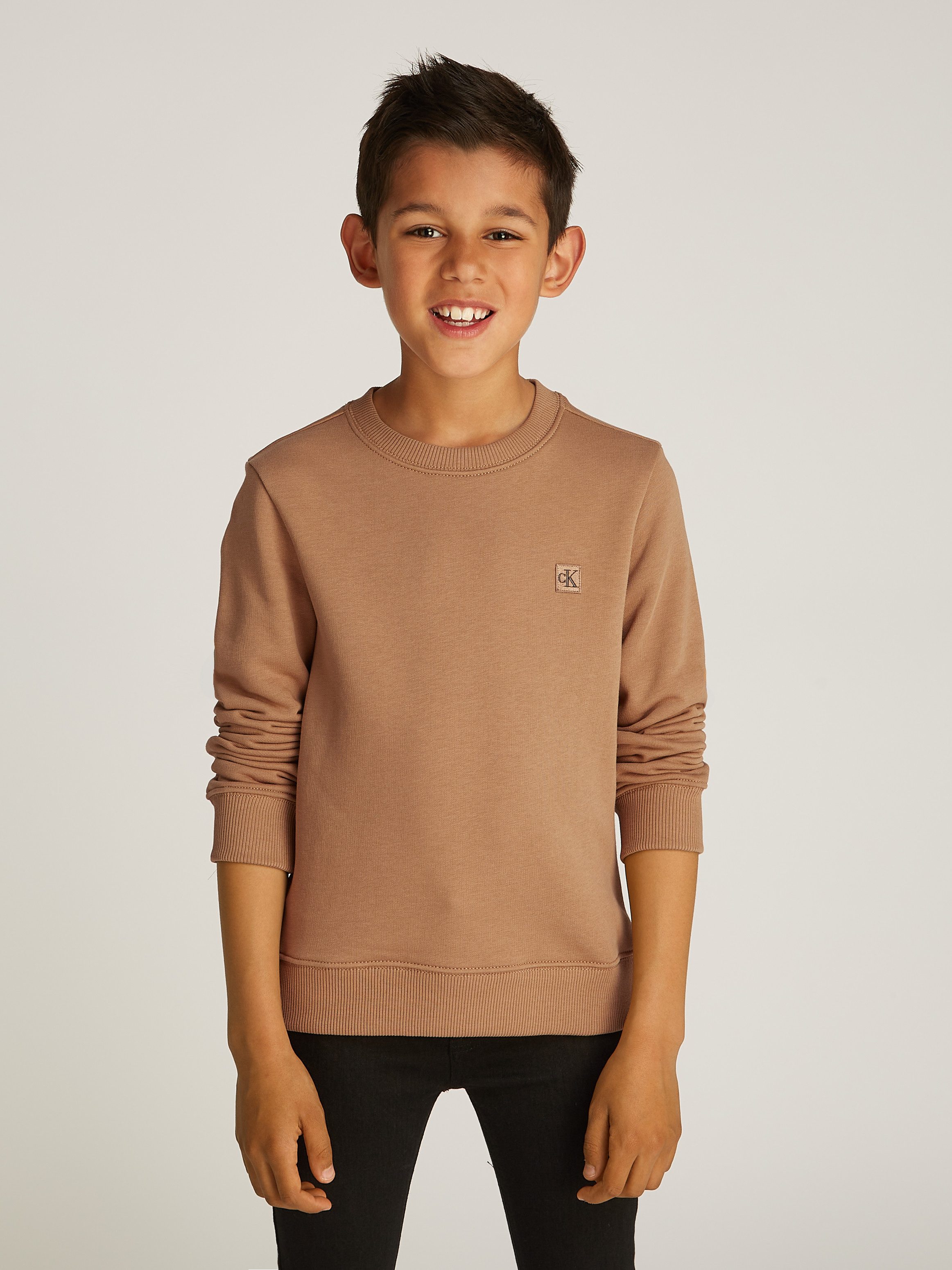 Sweatshirt MONO MINI BADGE REG CN