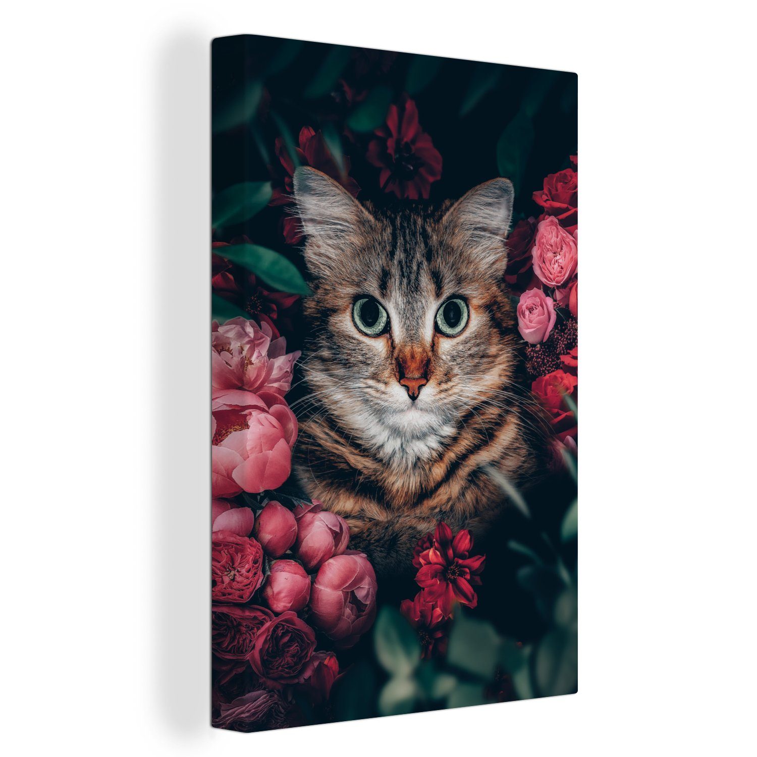 OneMillionCanvasses® Leinwandbild Katze - Blumen - günstig online kaufen