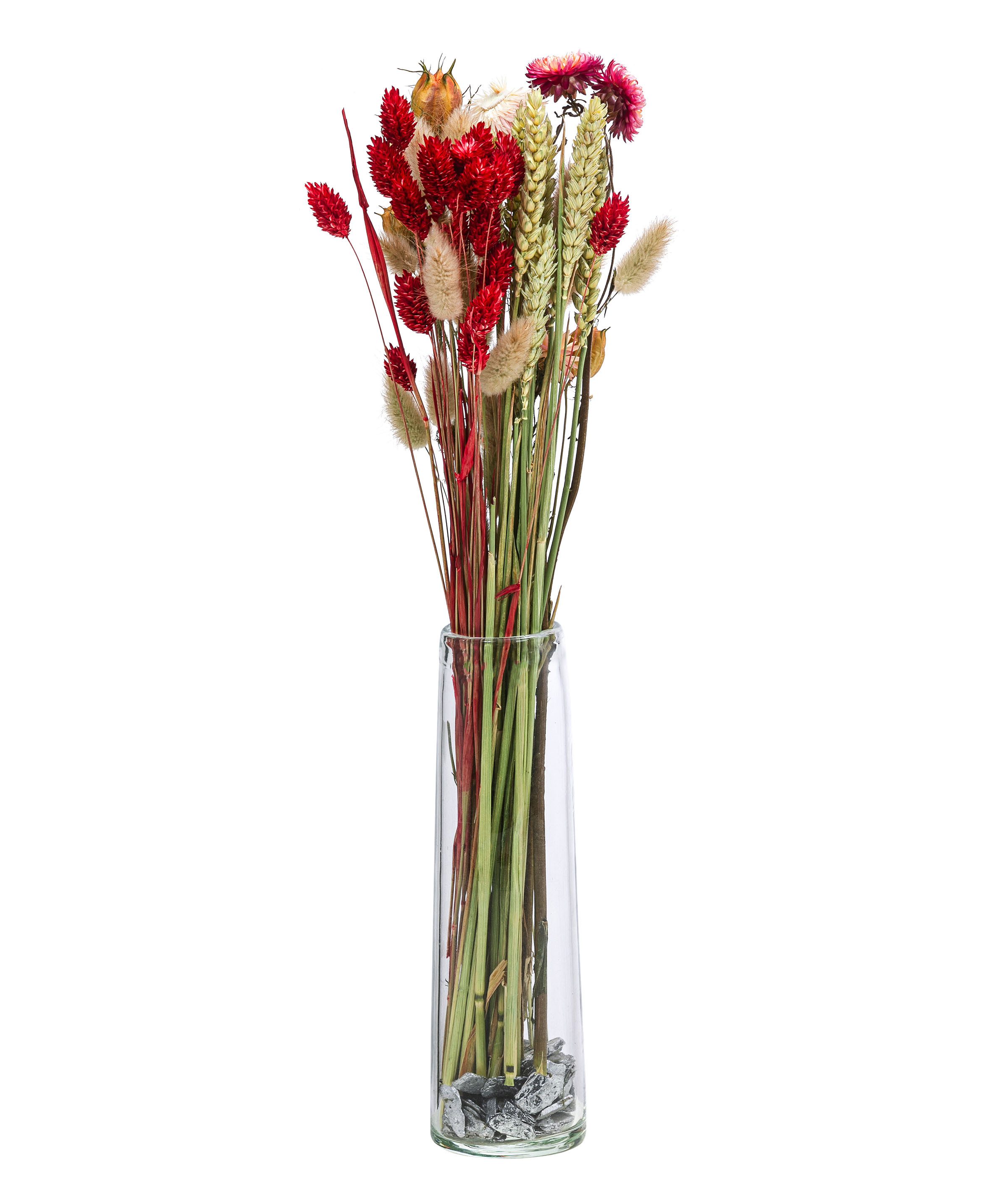 Trockenblume Blumenstrauß Luna aus Blumen und Gräsern, Länge 40 cm, rot Keine Angabe, Dehner, handgefertigtes farblich abgestimmtes Bouquet, auch für DIY-Projekte