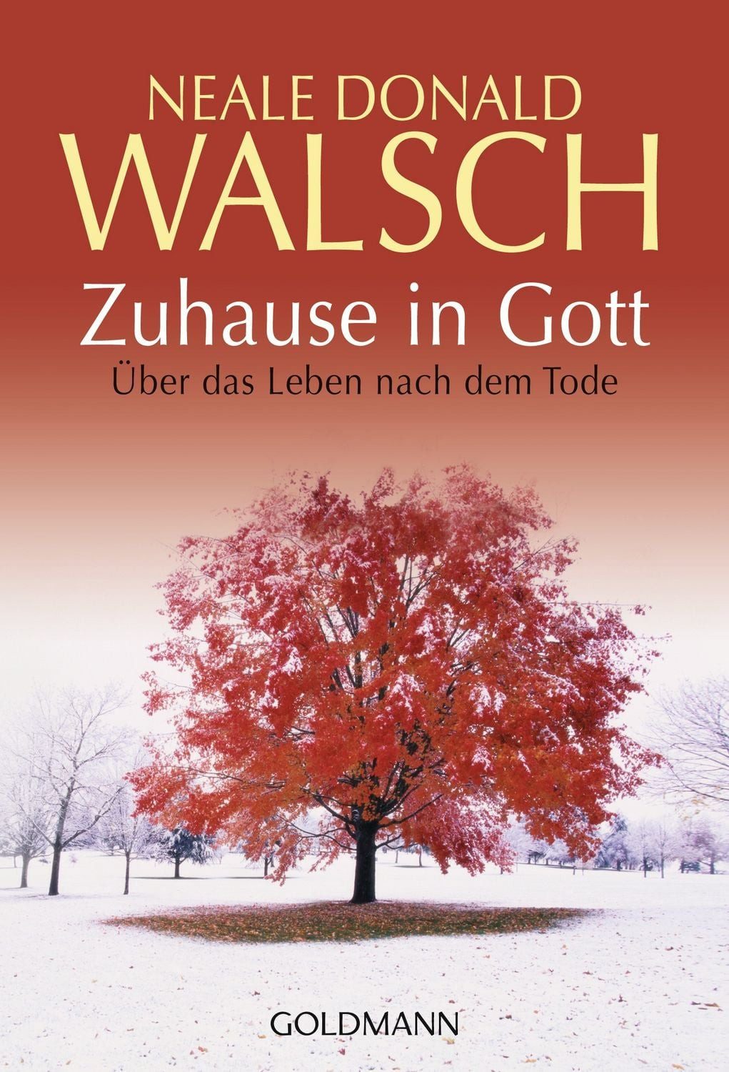Zuhause in Gott / Neale Donald Walsch