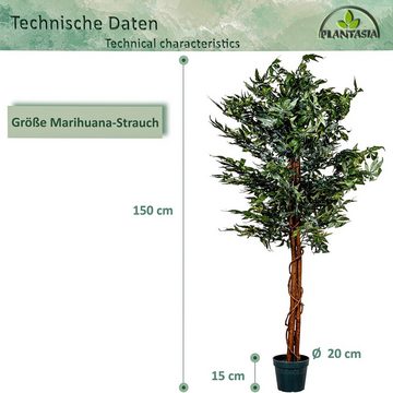 Kunstbaum Künstliche Zimmerpflanze Hanfbaum Graspflanze Marihuana-Strauch, PLANTASIA, Höhe 150,00 cm, 150 cm, Echtholzstamm, Mariuhana Strauch