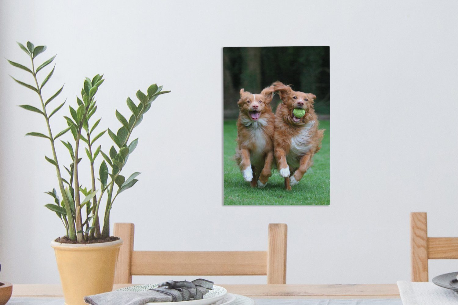 Zackenaufhänger, Hunde 20x30 mit bespannt Leinwandbild St), Leinwandbild spielen inkl. Zwei OneMillionCanvasses® (1 cm Ball, Gemälde, fertig