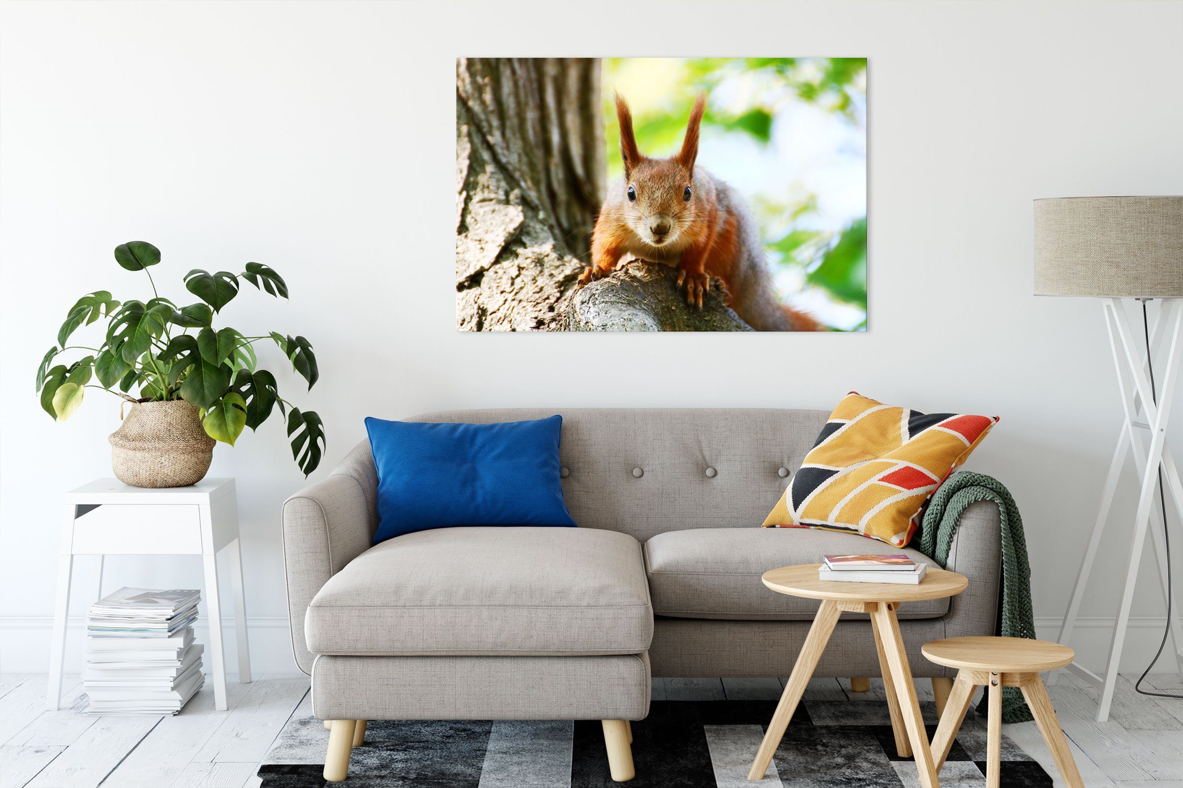 Pixxprint Leinwandbild Eichhörnchen auf dem Baum, günstig online kaufen