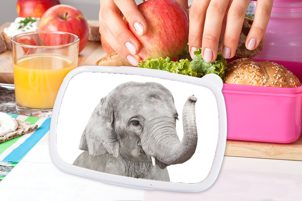 MuchoWow Lunchbox Mädchen, Kunststoff, Erwachsene, Natur, Tiere - - Elefant Kunststoff für Snackbox, Brotbox Kinder, rosa (2-tlg), Brotdose Grau 