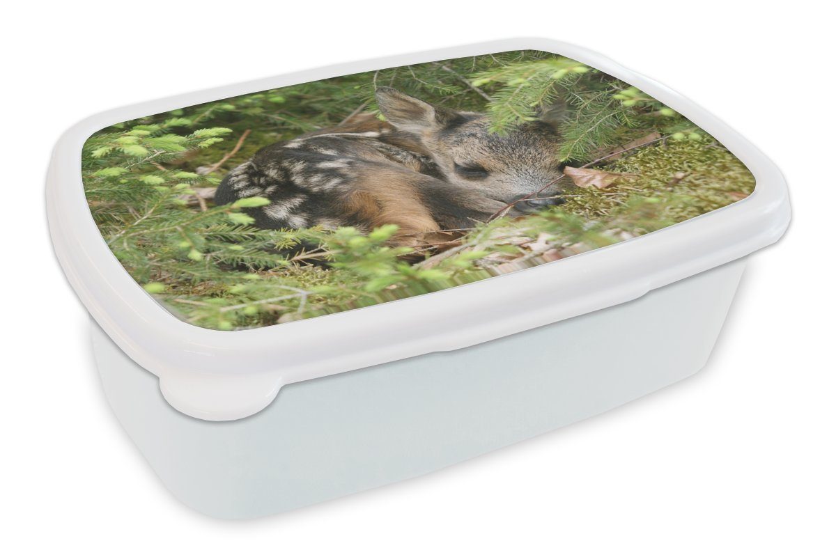 MuchoWow Lunchbox Schlafendes Rehwild, Kunststoff, (2-tlg), Brotbox für Kinder und Erwachsene, Brotdose, für Jungs und Mädchen weiß