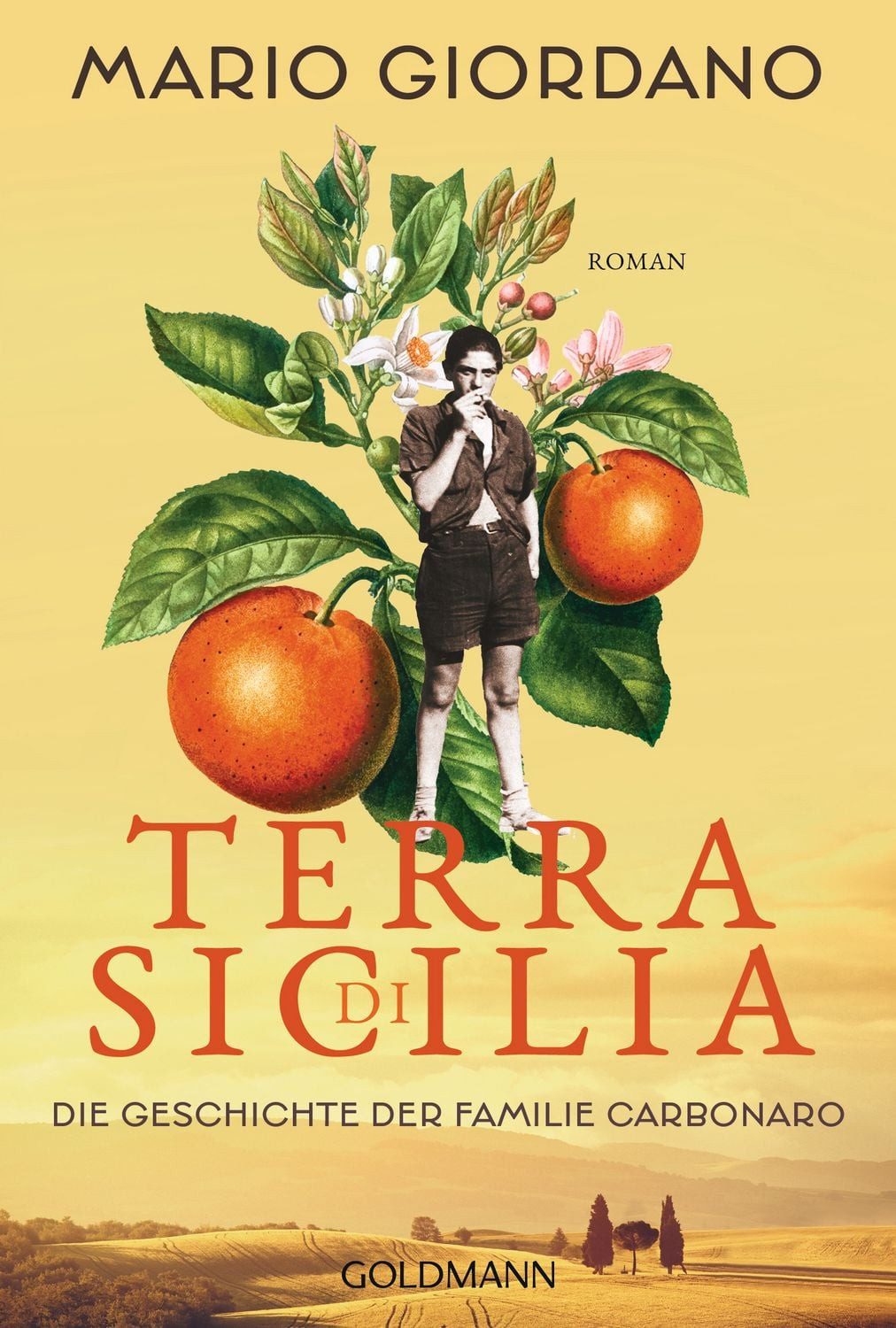 Terra di Sicilia. Die Geschichte der Familie Carbonaro / Mario Giordano
