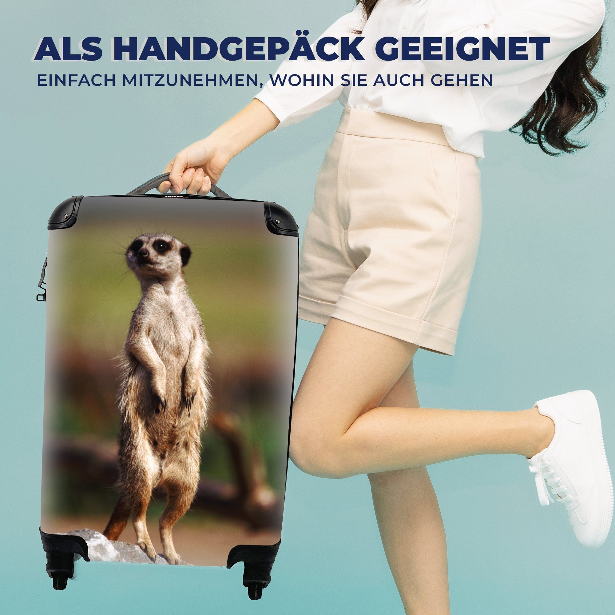 Reisetasche Handgepäckkoffer Reisekoffer Spiel, Trolley, - für Ferien, Rollen, 4 Tier rollen, mit - Erdmännchen MuchoWow Handgepäck