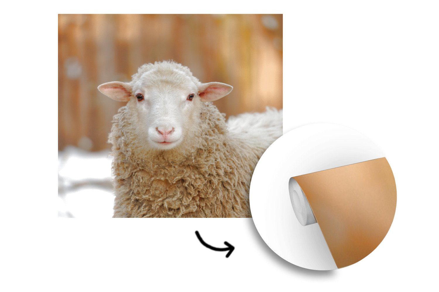 Wandtapete - (5 für Schafe MuchoWow St), Schlafzimmer, oder Schnee Matt, - Fototapete Vinyl bedruckt, Wolle, Wohnzimmer Tapete