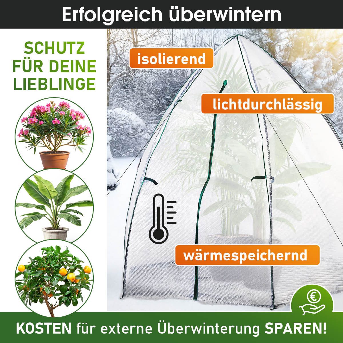BRAST Foliengewächshaus Überwinterungszelt Mini Gewächshaus, BxLxH: 160 x 160 x 180 cm, inkl. Reißverschluss, Schnellaufbau, Winterschutz für Pflanzen, inkl. Ge – Bild 4 von 5