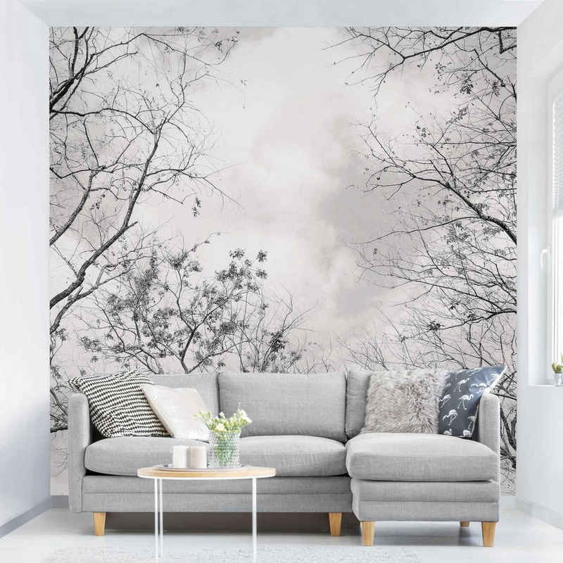 Bilderdepot24 Fototapete Wald Baumkronen Himmel Warmgrau Natur Landschaft Waldtapete Bäume, Glatt, Matt, (Vliestapete inkl. Kleister oder selbstklebend), Wohnzimmer Schlafzimmer Küche Flur Motivtapete Vliestapete Wandtapete