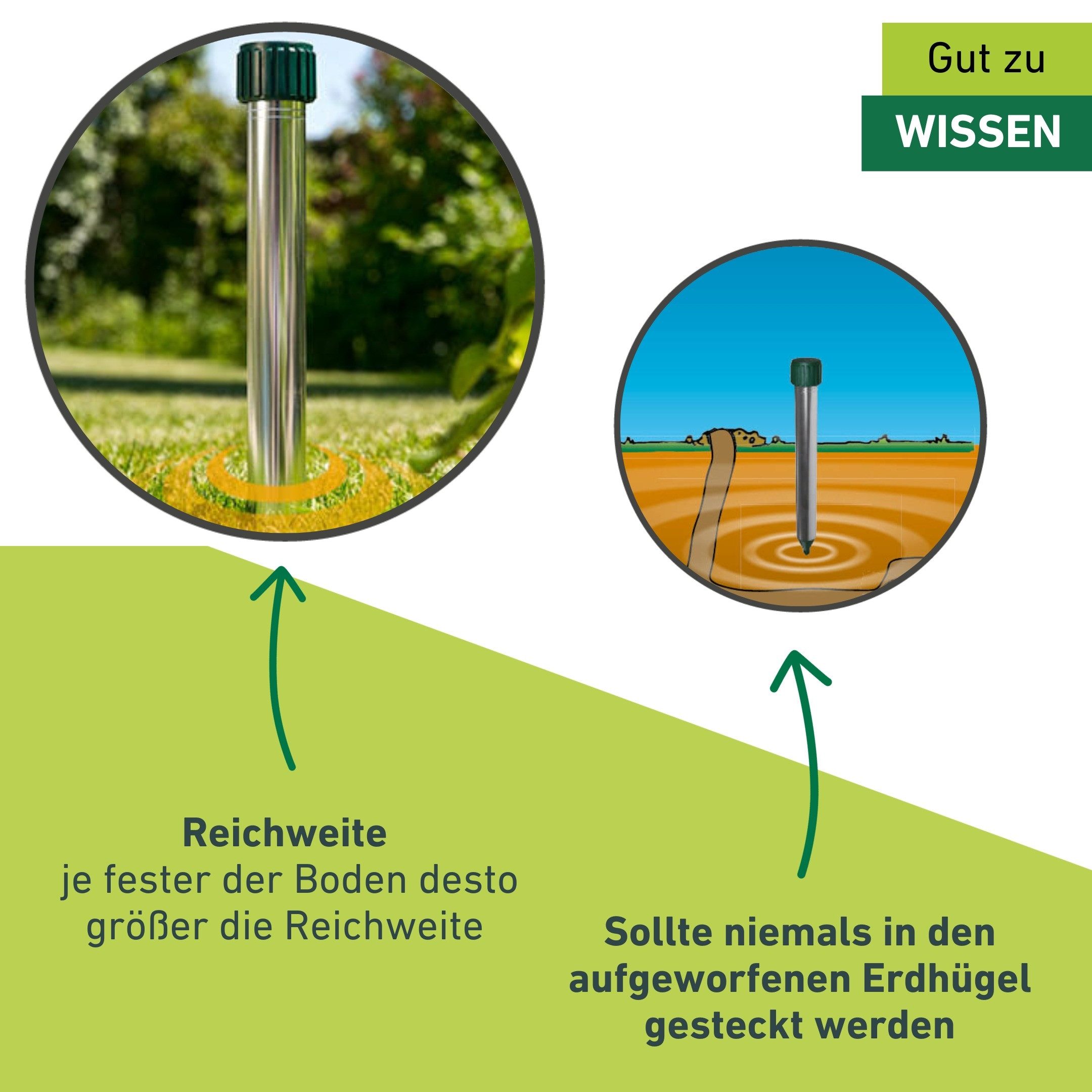 Windhager Ultraschall-Tierabwehr Maulfwurfschreck und Wühlmausvertreiber Premium, batteriebetrieben, Wirkungsbereich 900 m² mit Resonanzschwingungen und Ultrasc – Bild 3 von 5