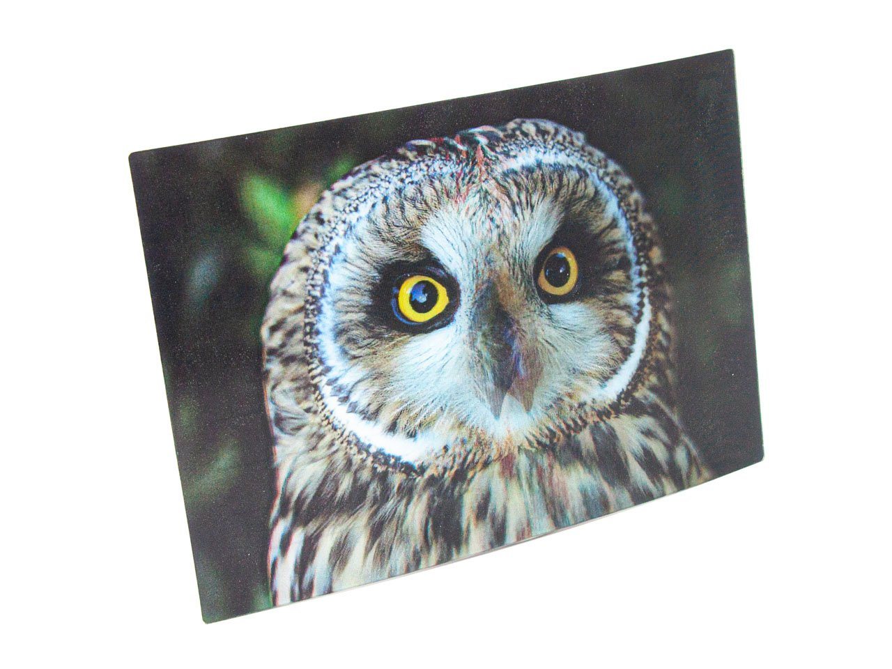 Thumbnail - Cornelißen Postkarte 3D Postkarte Sumpfohreule, 3D