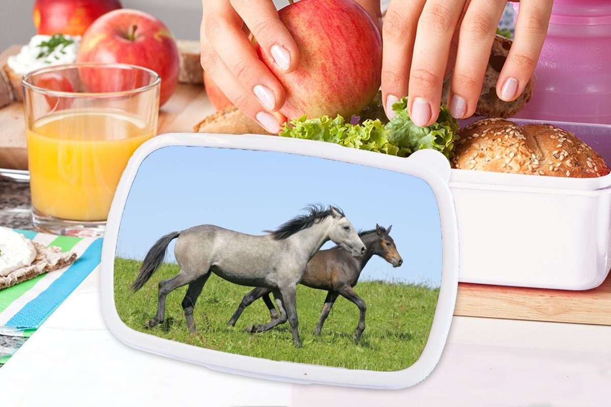 MuchoWow Lunchbox Pferde - Brotbox Mädchen Brotdose, für und Erwachsene, Gras, Kinder Tiere (2-tlg), Jungs für weiß Kunststoff, - und