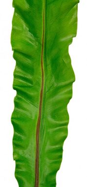 Kunstpflanze Nestfarnblatt, I.GE.A., Höhe 117 cm, Monstera, Kunstzweig, 3er Set