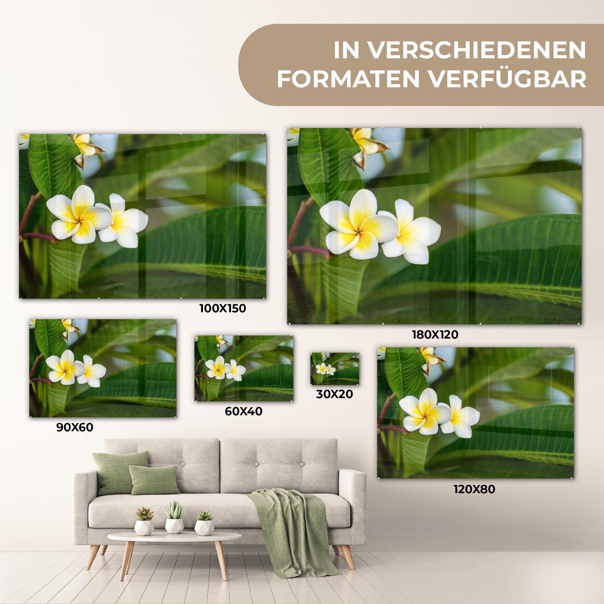 MuchoWow Acrylglasbild Blumen - Gelb Acrylglasbilder Wohnzimmer Blätter, (1 Schlafzimmer - & St)