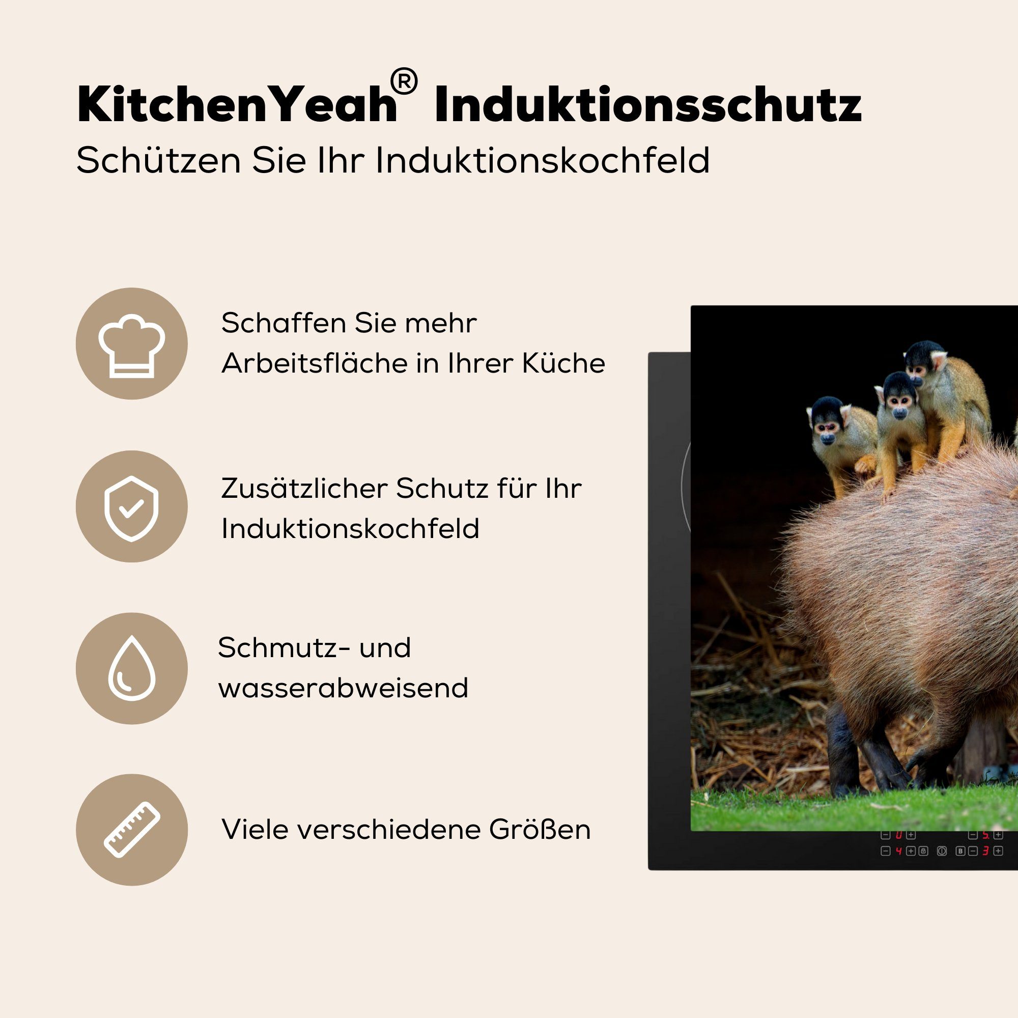 (1 Ein darauf, für 59x52 Herdblende-/Abdeckplatte Induktionsmatte Ceranfeldabdeckung mit küche, tlg), die Vinyl, MuchoWow Capybara Affen cm,