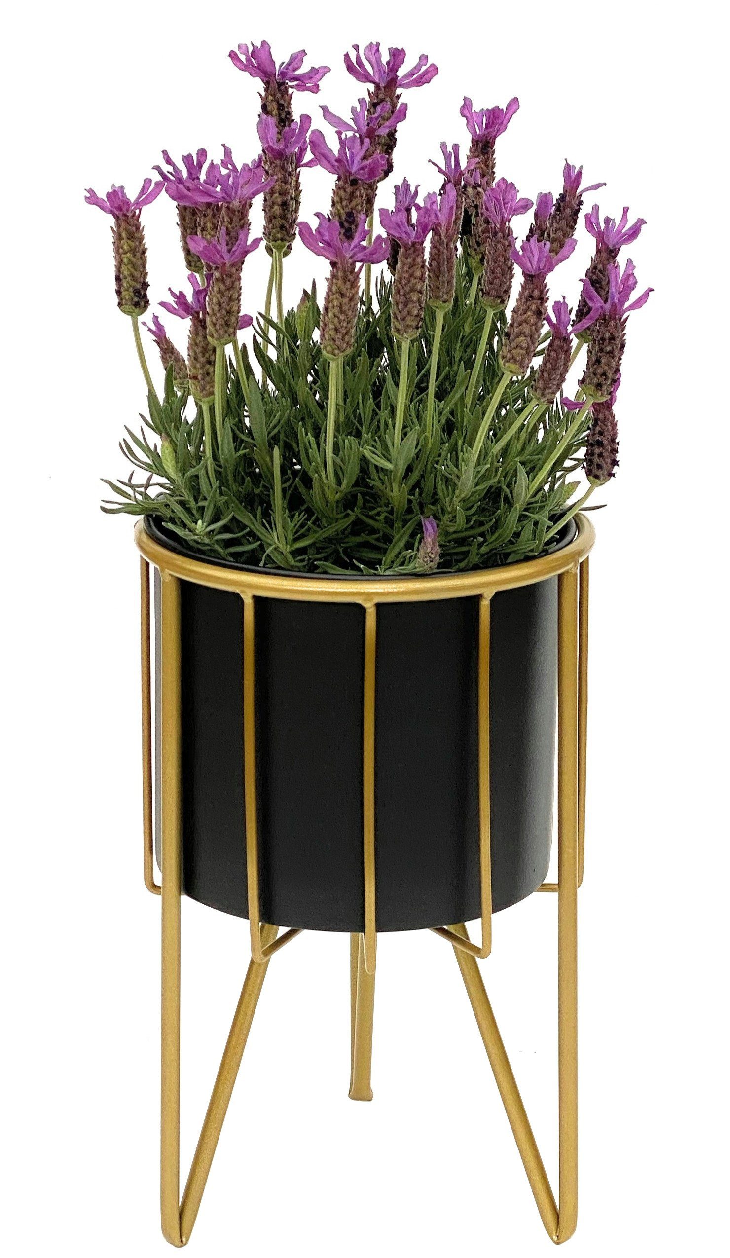 DanDiBo Blumenhocker Blumenhocker mit Topf Metall Gold Schwarz Rund 32-45 cm Blumenständer 96039 Blumensäule Modern Pflanzenständer Pflanzenhocker