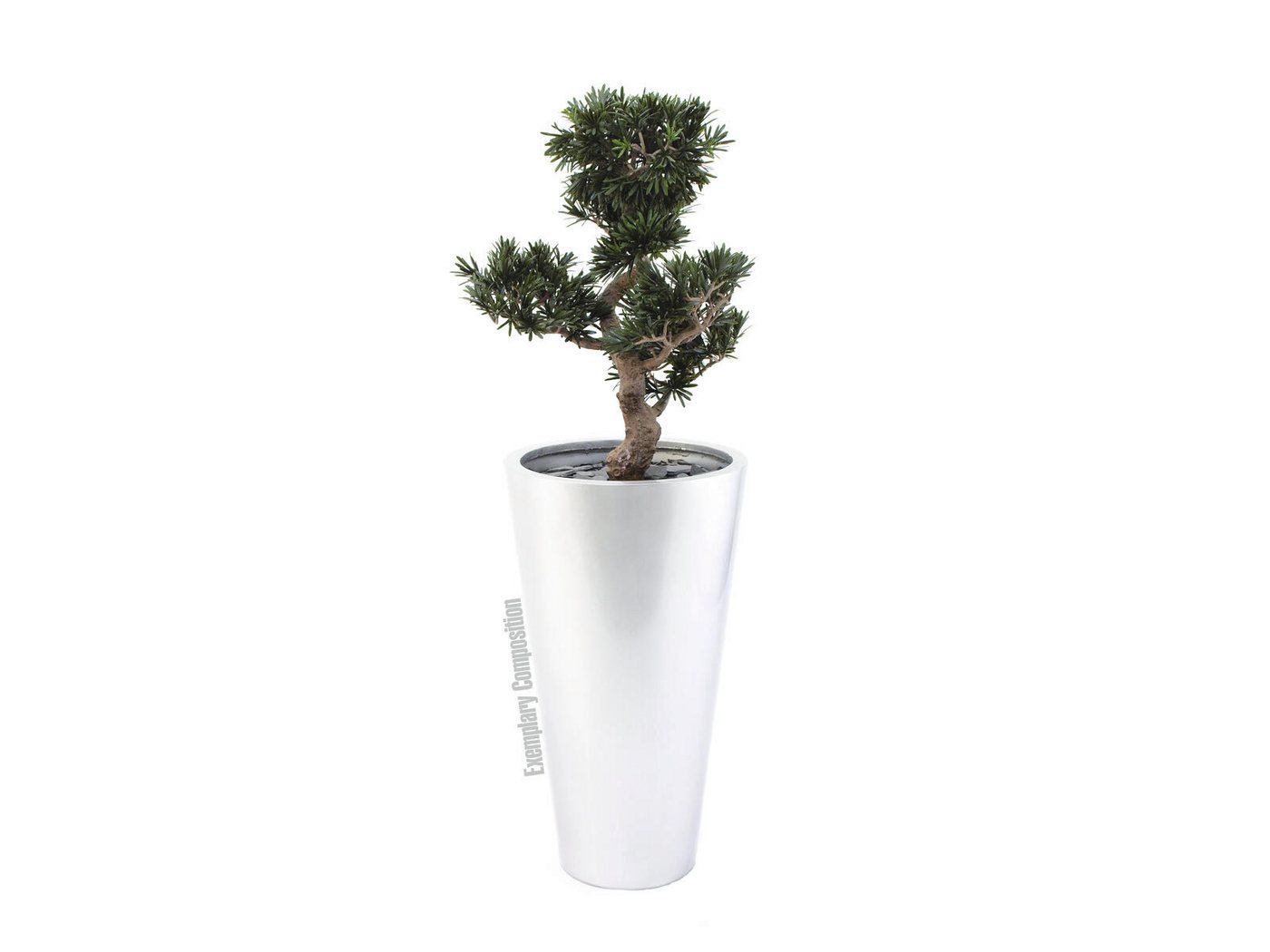 Thumbnail - EUROPALMS Übertopf EUROPALMS LEICHTSIN ELEGANCE-69, silber, glänzend
