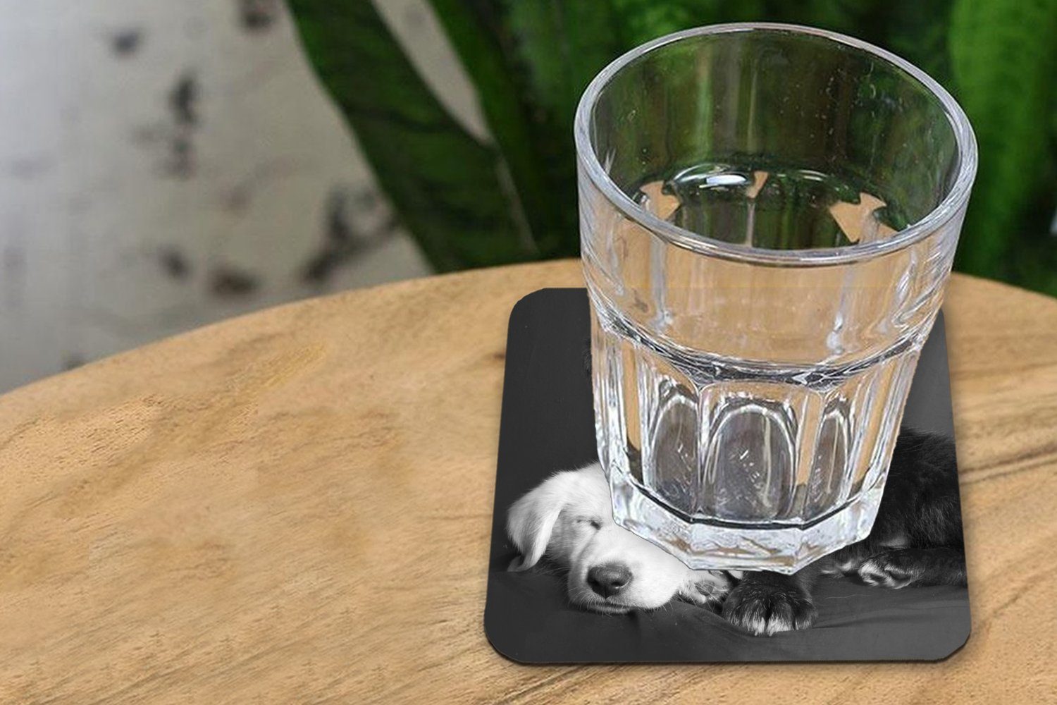 MuchoWow Glasuntersetzer Hunde Zubehör Schwarz - Tasse - - Gläser, 6-tlg., Korkuntersetzer, Weiß Tischuntersetzer, Welpe Untersetzer, Tiere, Glasuntersetzer, für 