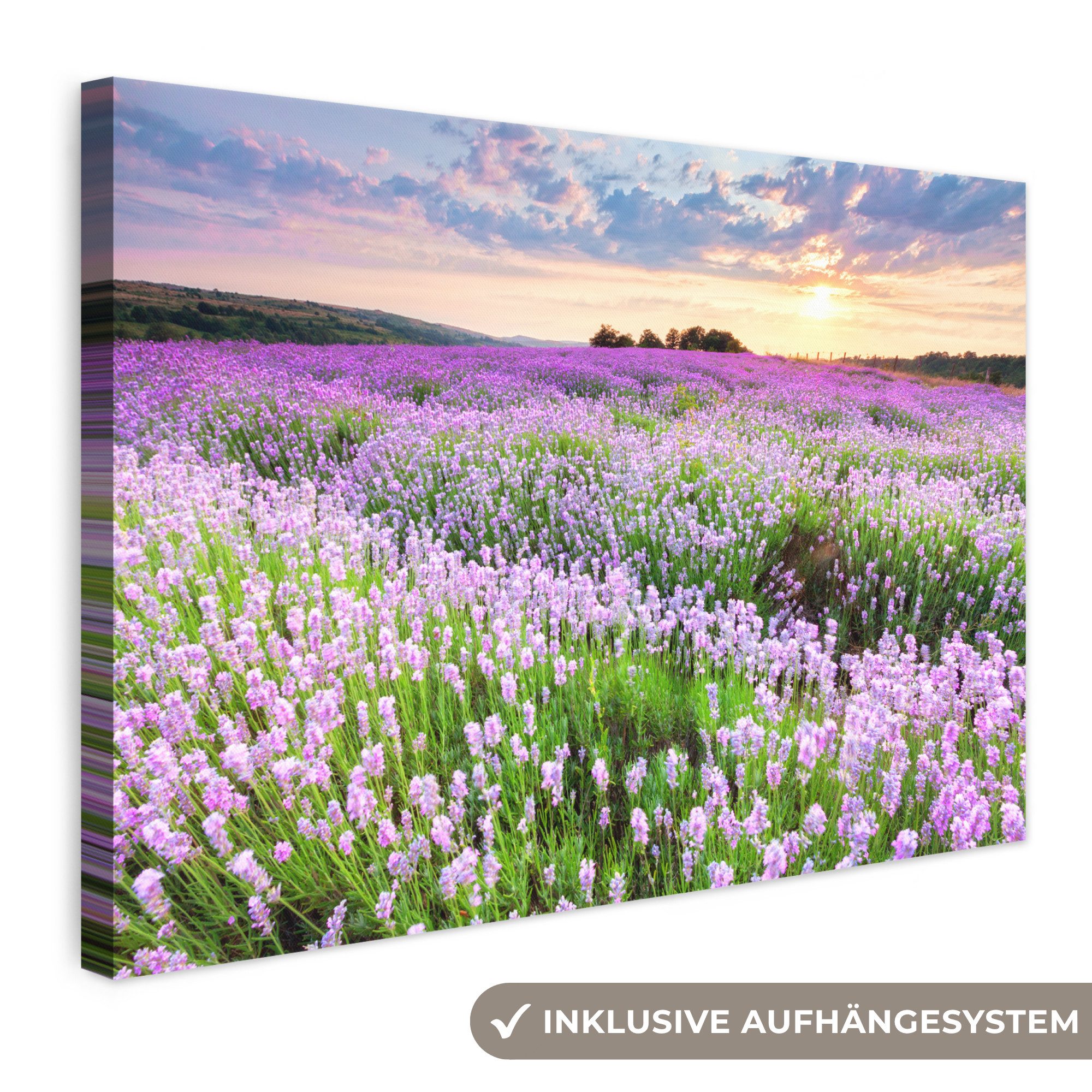 OneMillionCanvasses® Leinwandbild Lavendel - Blumen - Sonnenuntergang - Lila - Wiese, Fotodruck (1 St), Leinwand Bilder Klein, Wand Dekoration Aesthetic 30x20 cm