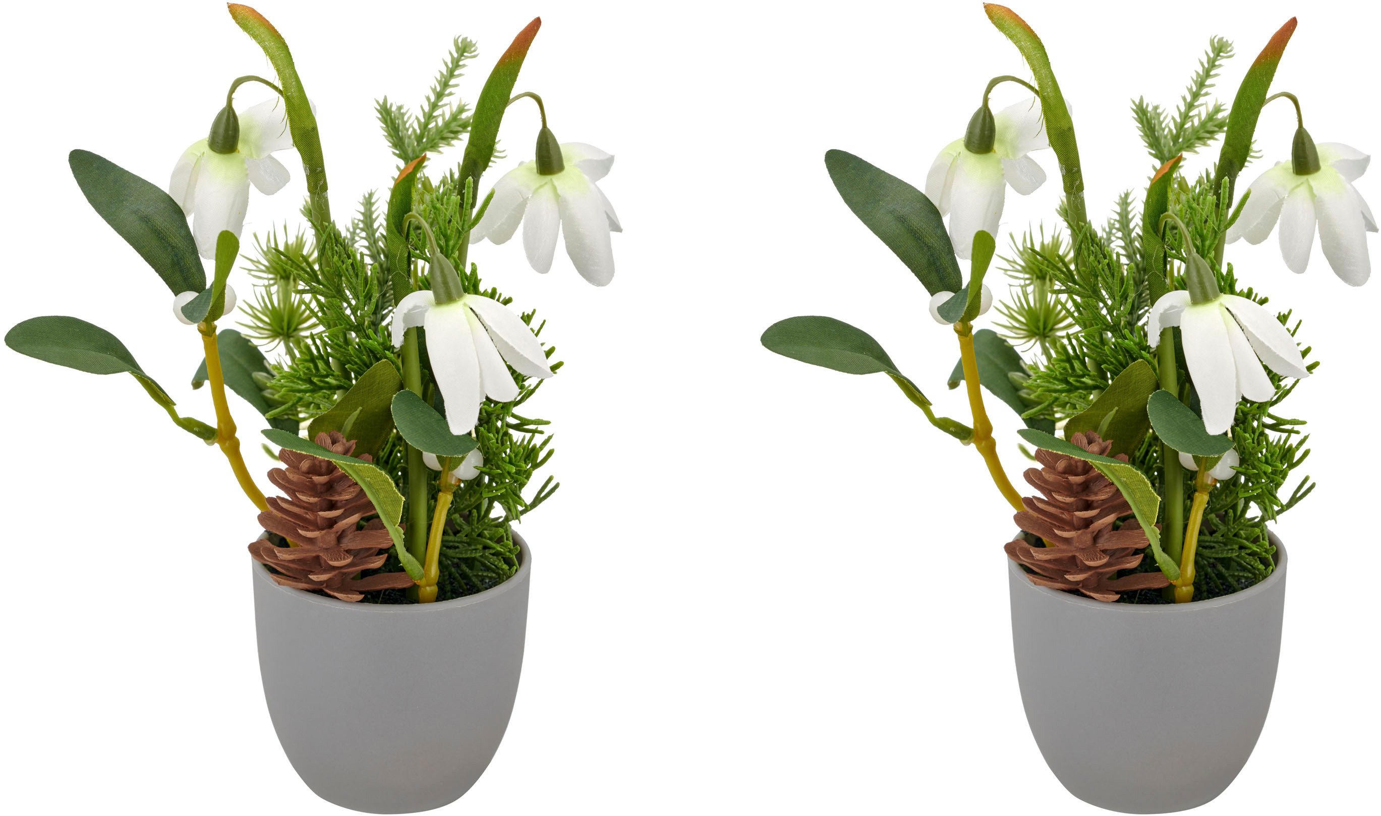 Winterliche Kunstpflanze Arrangement mit Schneeglöckchen, Creativ green, Höhe 20 cm, mit Tannenzweigen und Zapfen