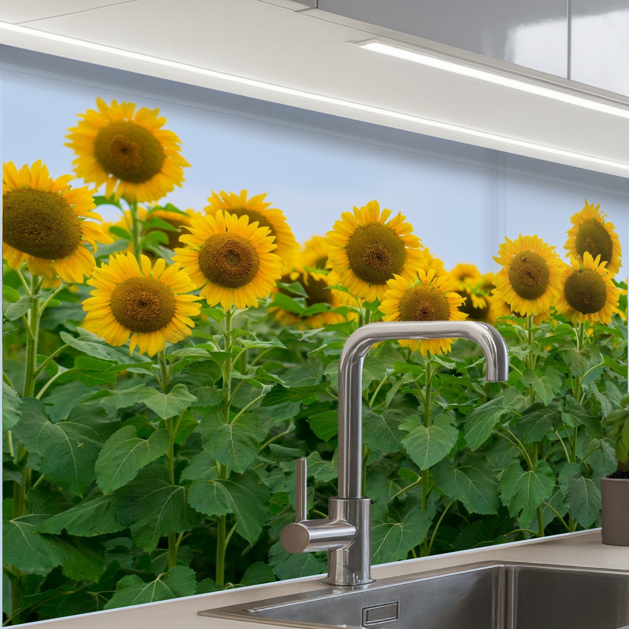 KitchenYeah Küchenrückwand selbstklebend Sonnenblumen - Gelb - Natur, (1-tlg), Spritzschutz, Küche, Rückwand, Küchenwand, Küchenfront, 80x60 cm