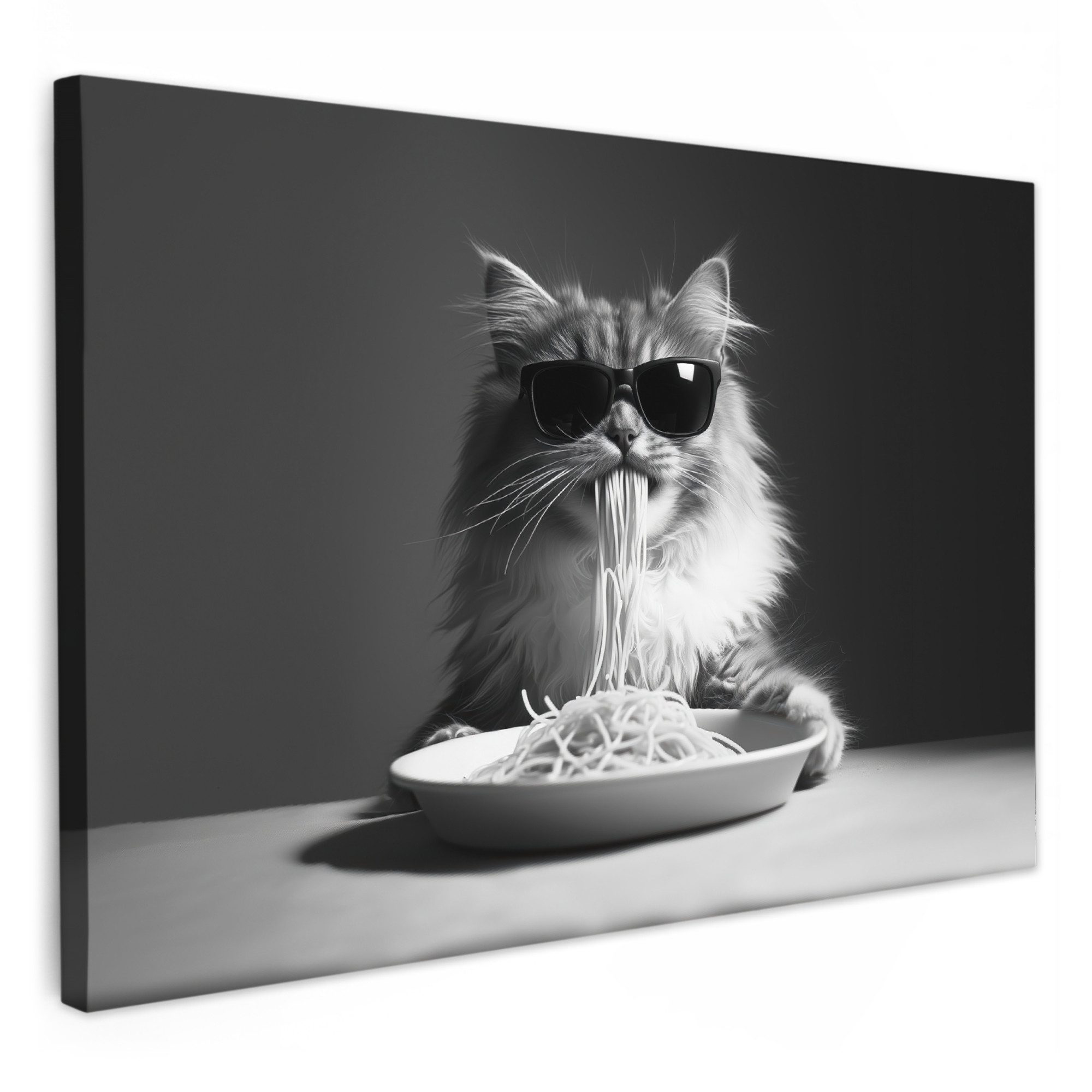 OneMillionCanvasses® Leinwandbild Langhaarkatze - Sonnenbrille - Spaghetti günstig online kaufen