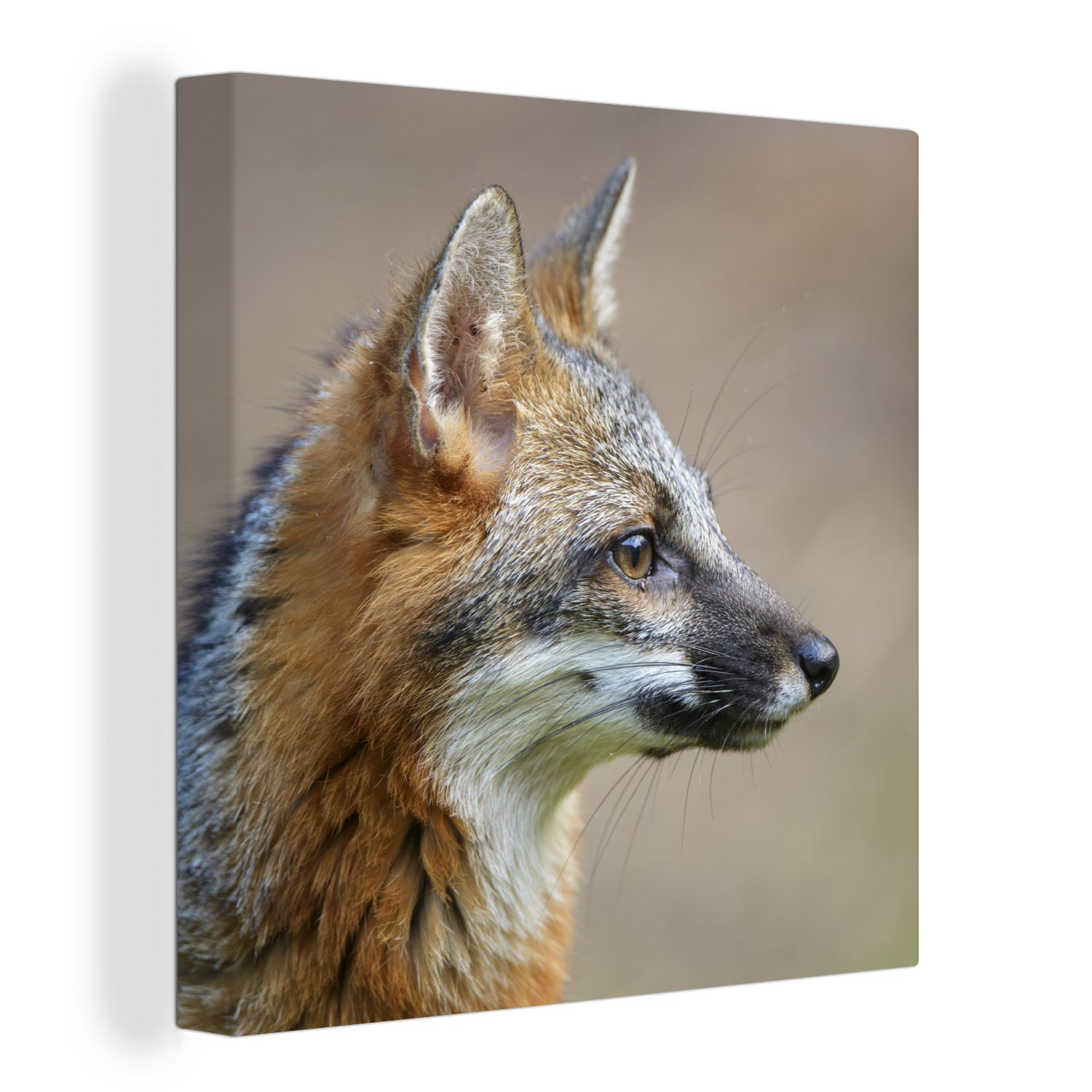 OneMillionCanvasses® Leinwandbild Fuchs - Makro - Braun, (1 St), Leinwand Bilder für Wohnzimmer Schlafzimmer bunt