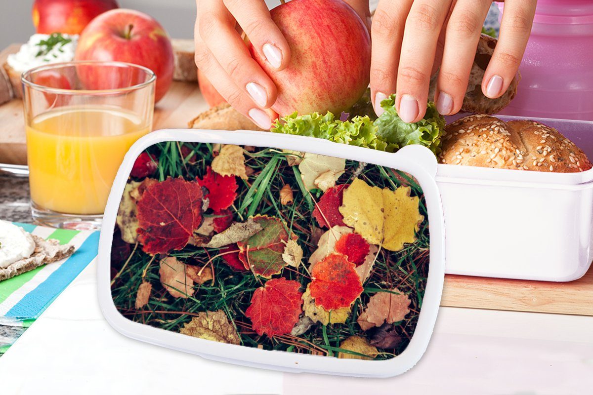 MuchoWow Lunchbox Blätter - November Brotdose, weiß und (2-tlg), Brotbox Erwachsene, Natur, und Mädchen Jungs - Kunststoff, für Kinder Herbst für 