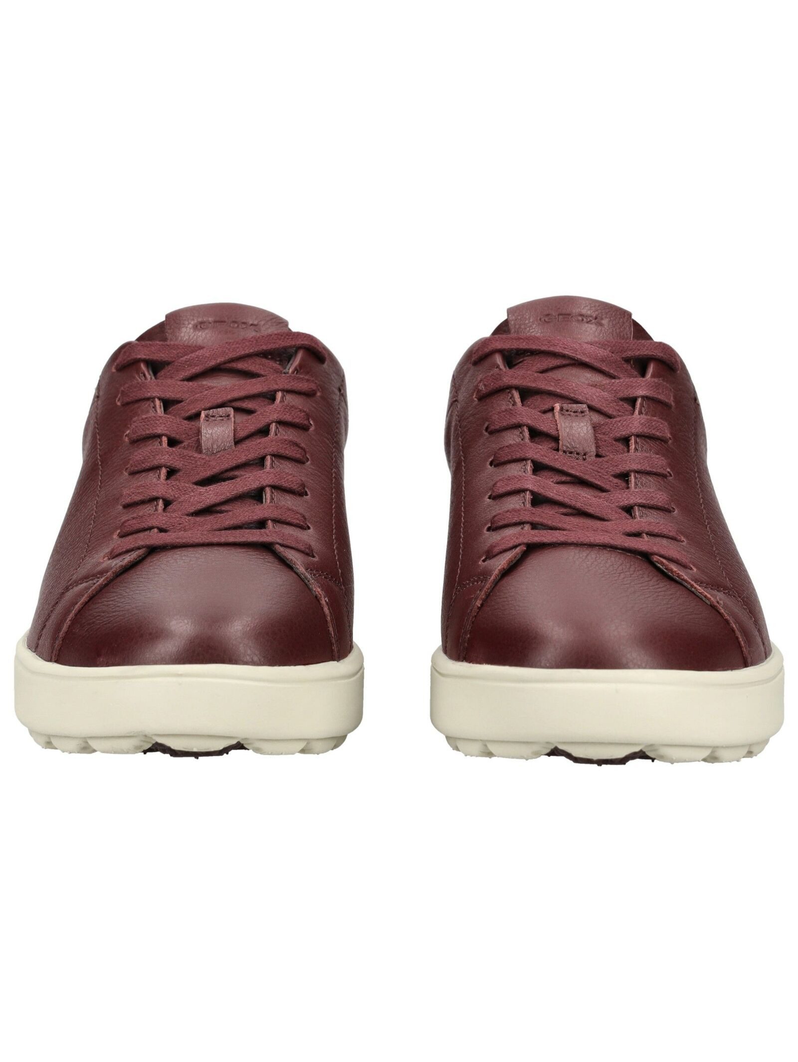 Geox Geox Sneaker Leder Sneaker