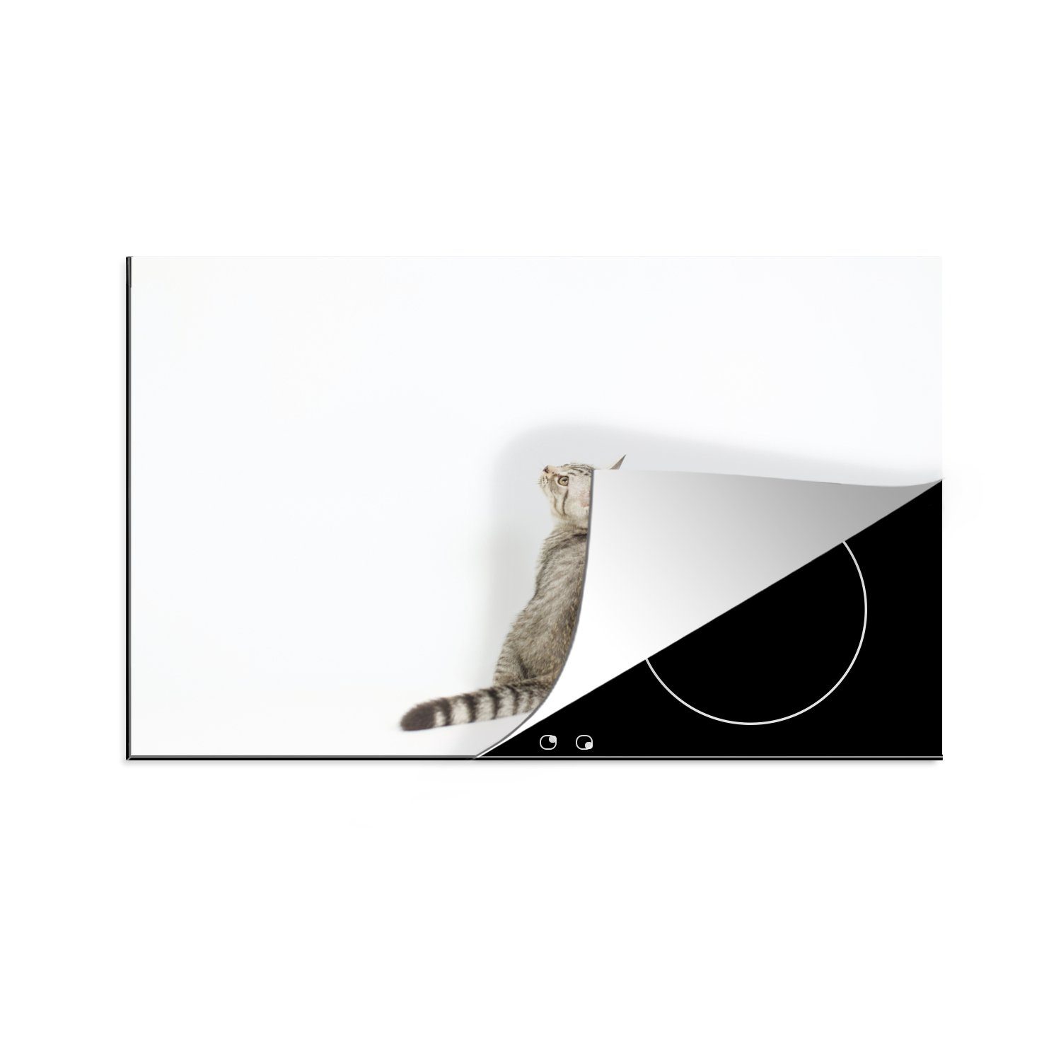 MuchoWow Herdblende-/Abdeckplatte Katze - Haustiere - Fell, Vinyl, (1 tlg), 81x52 cm, Induktionskochfeld Schutz für die küche, Ceranfeldabdeckung