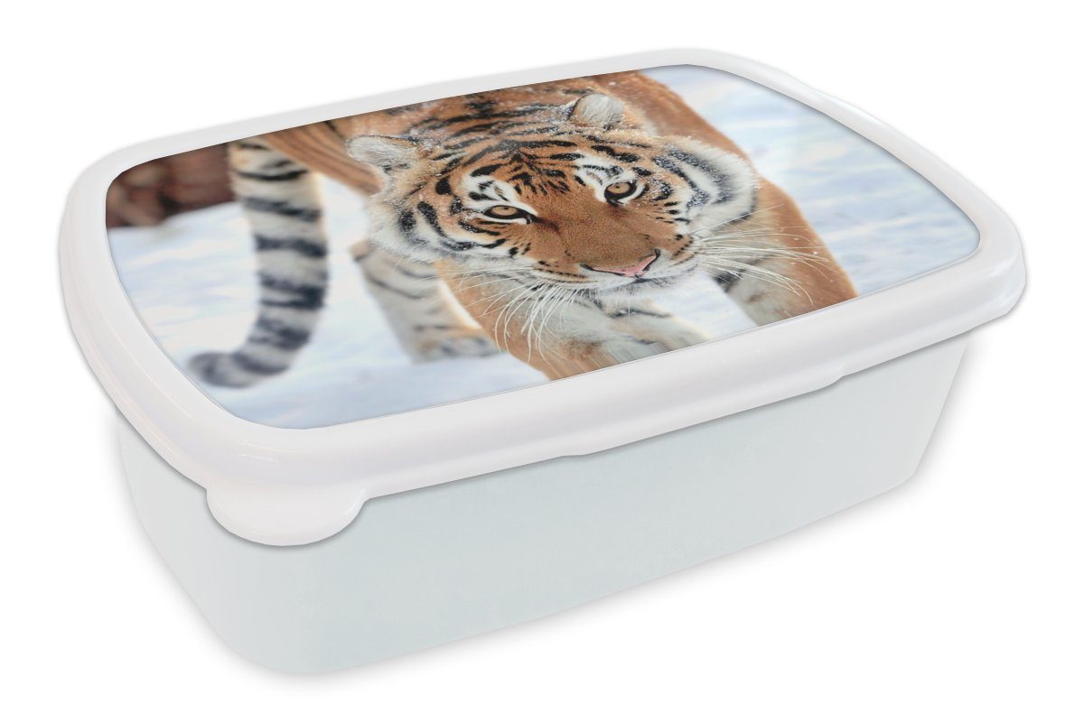 MuchoWow Lunchbox Tiger - Schnee - Tiere, Kunststoff, (2-tlg), Brotbox für Kinder und Erwachsene, Brotdose, für Jungs und Mädchen weiß