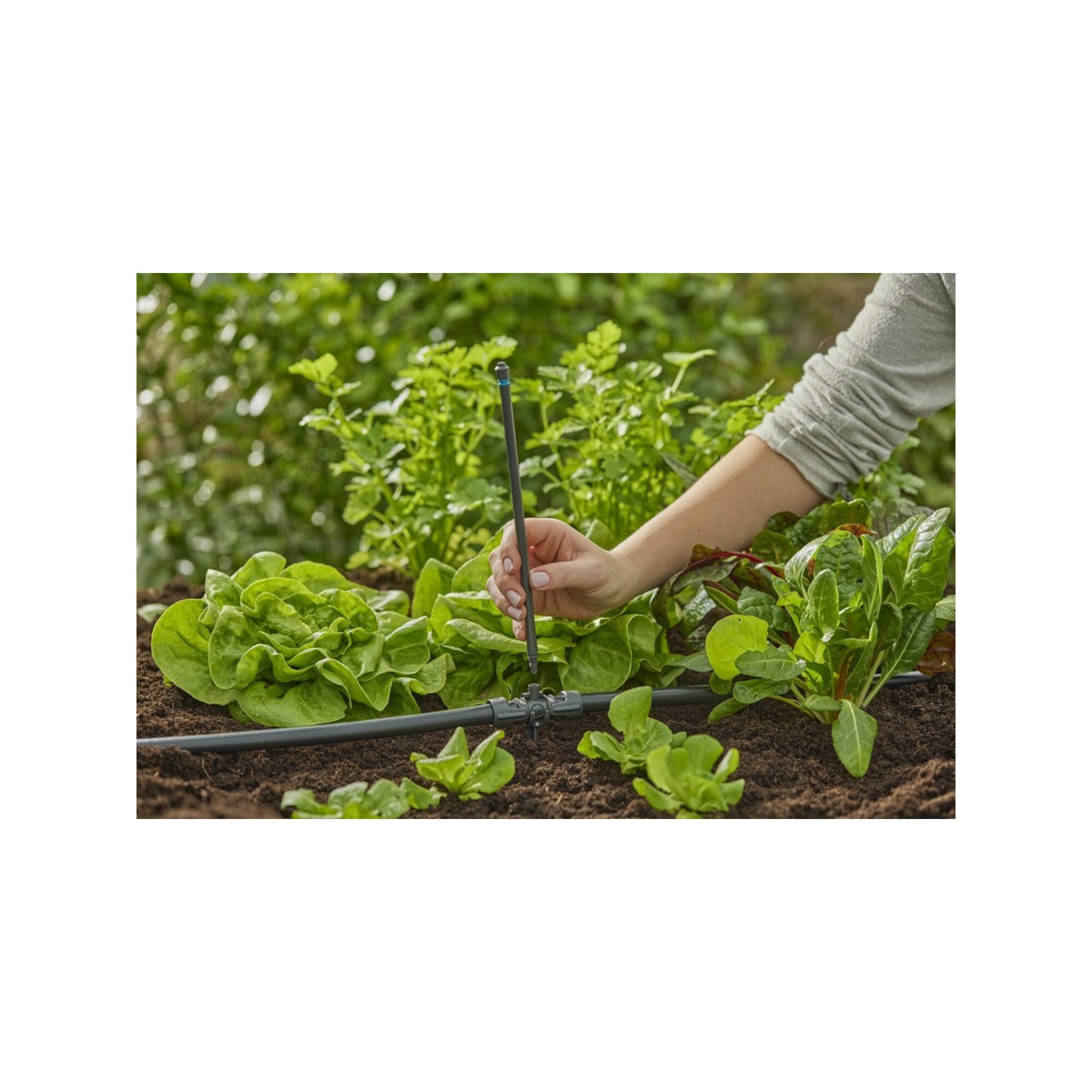 GARDENA Bewässerungssystem Gardena T-Stück für Sprühdüsen 13 mm (1/2) MDS Inhalt: 5 Stück