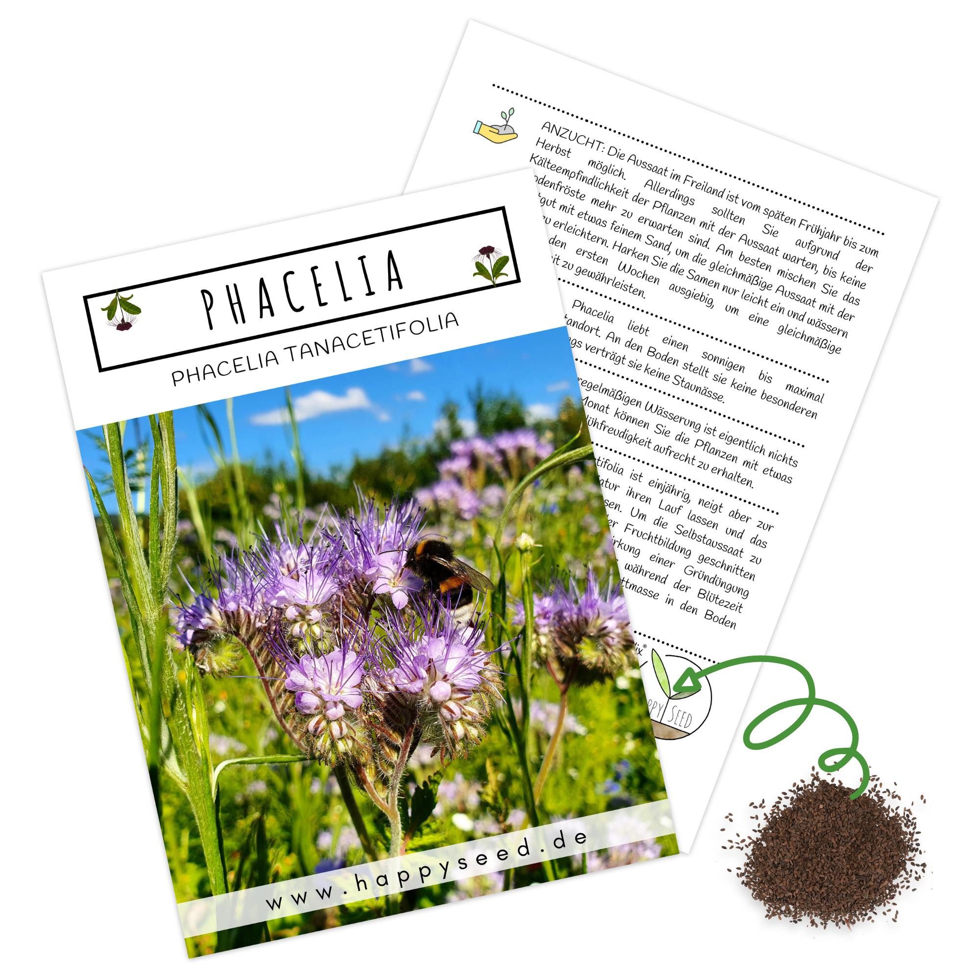 HappySeed Blumensamen Phacelia Samen Bienenfreund - Phacelia tanacetifolia, günstig online kaufen