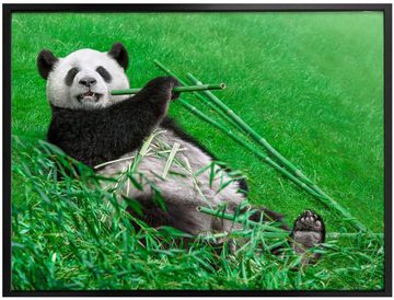 Wall-Art Poster Waldtiere Bambus Panda, Tiere (1 St), Poster ohne Bilderrahmen