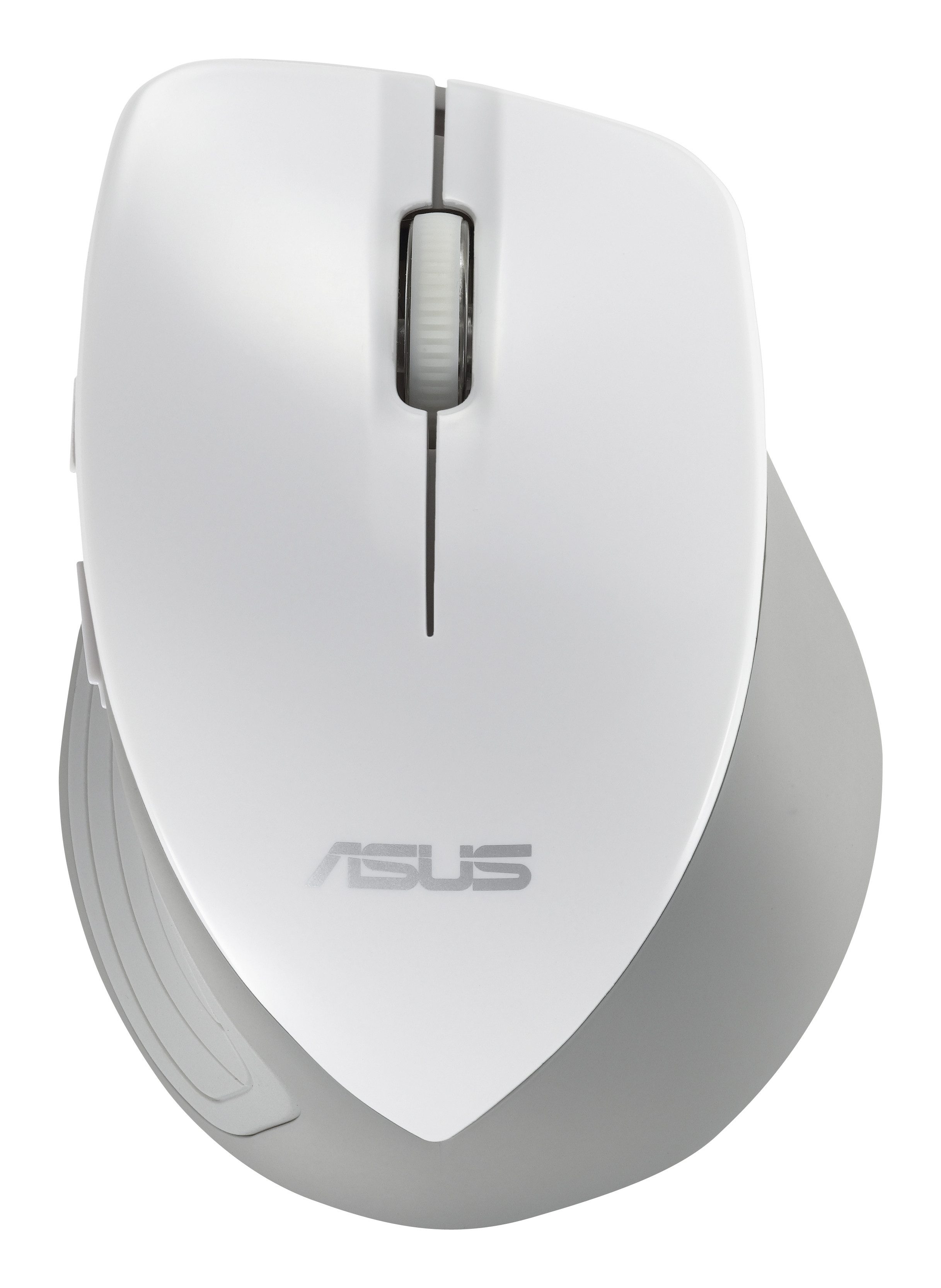 Asus Maus