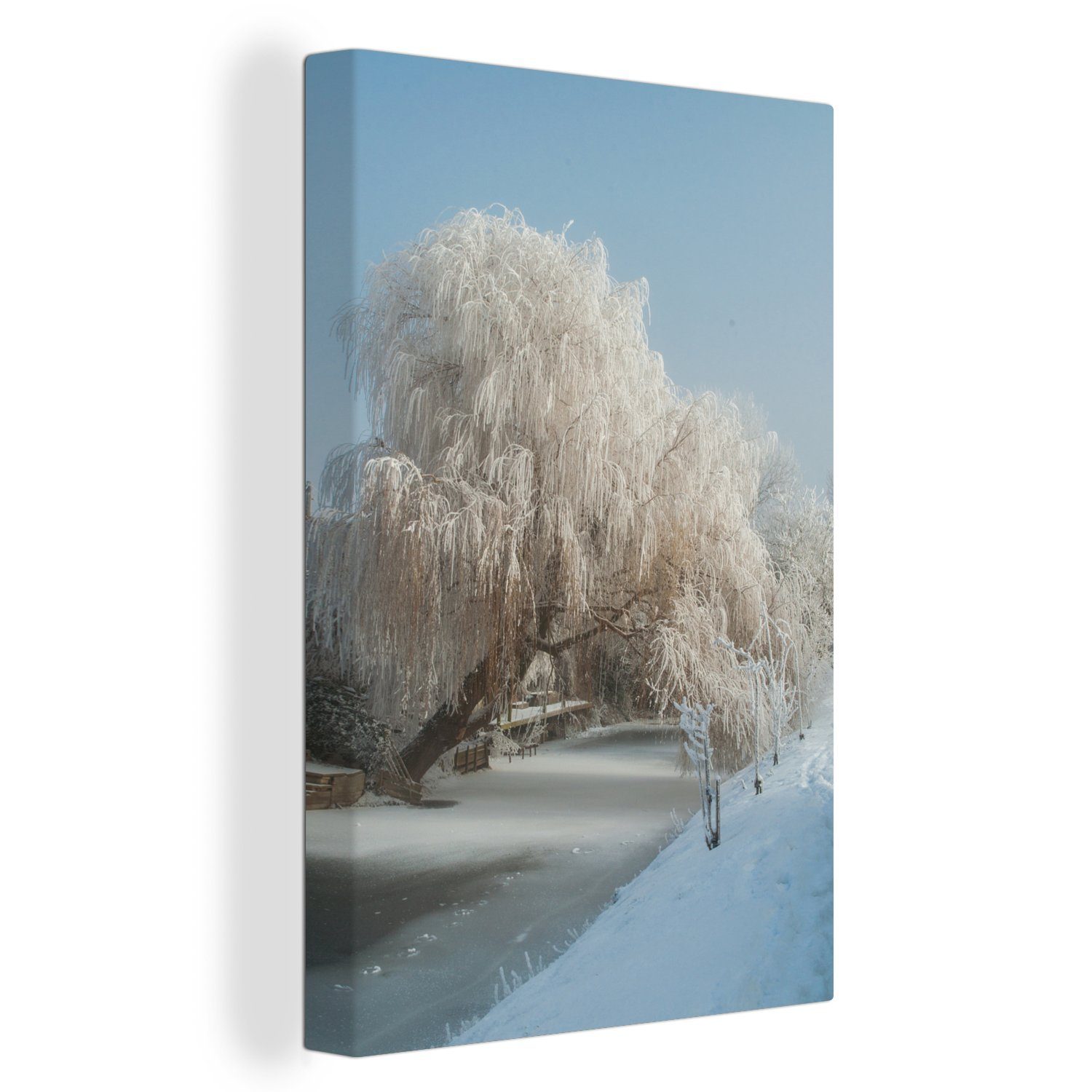 OneMillionCanvasses® Leinwandbild Trauerweide im Winter, (1 St), Leinwandbild fertig bespannt inkl. Zackenaufhänger, Gemälde, 20x30 cm | Leinwandbilder