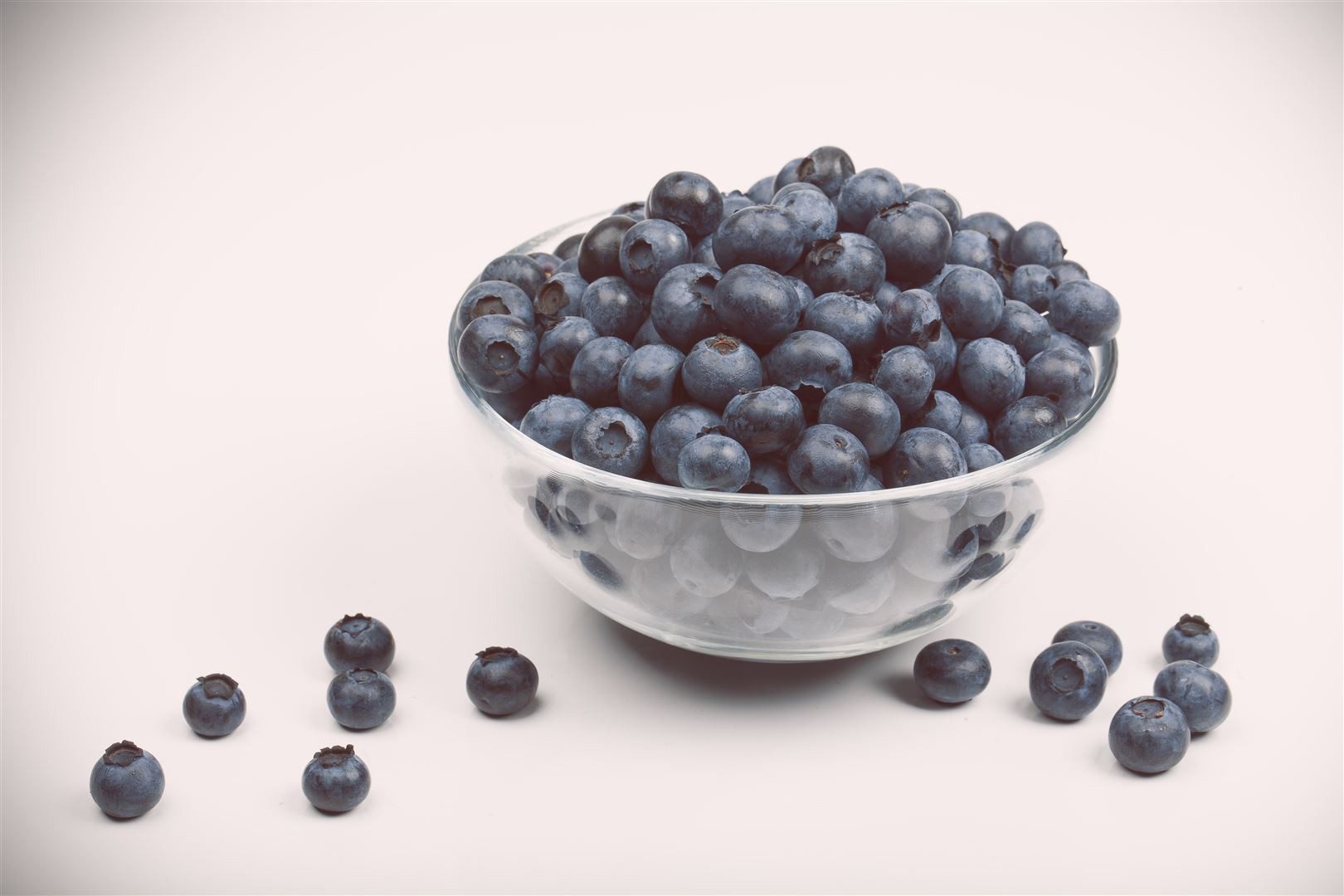 Pflanzen für Dich Obstpflanze Vaccinium corymbosum, 1 St., Amerikanische Heidelbeere, Kulturheidelbeere, Blaubeere, blaue Beeren, herbstfärbung