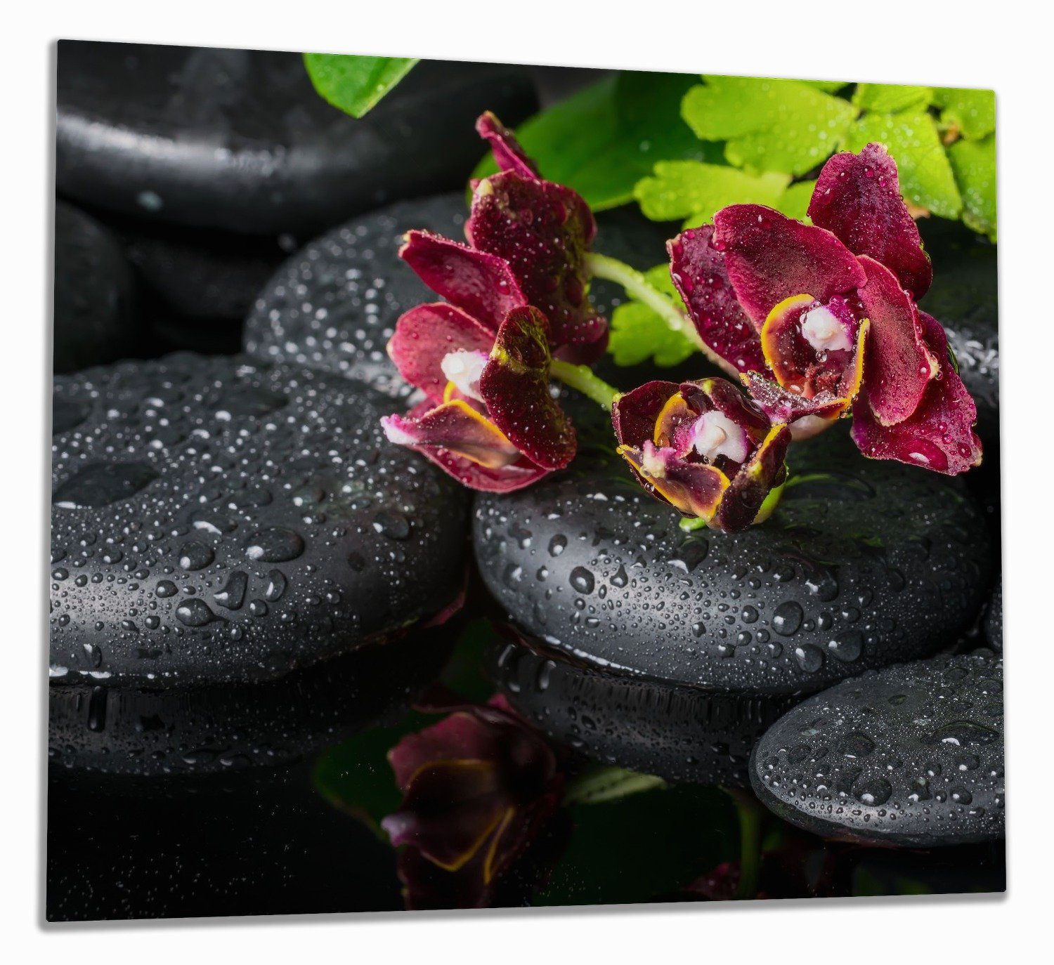 Wallario Herd-Abdeckplatte Dunkelrote Orchideen-Blüte auf schwarzen Steinen mit Regentropfen, ESG-Sicherheitsglas, (Glasplatte, 1 tlg., inkl. 5mm Noppen), verschiedene Größen