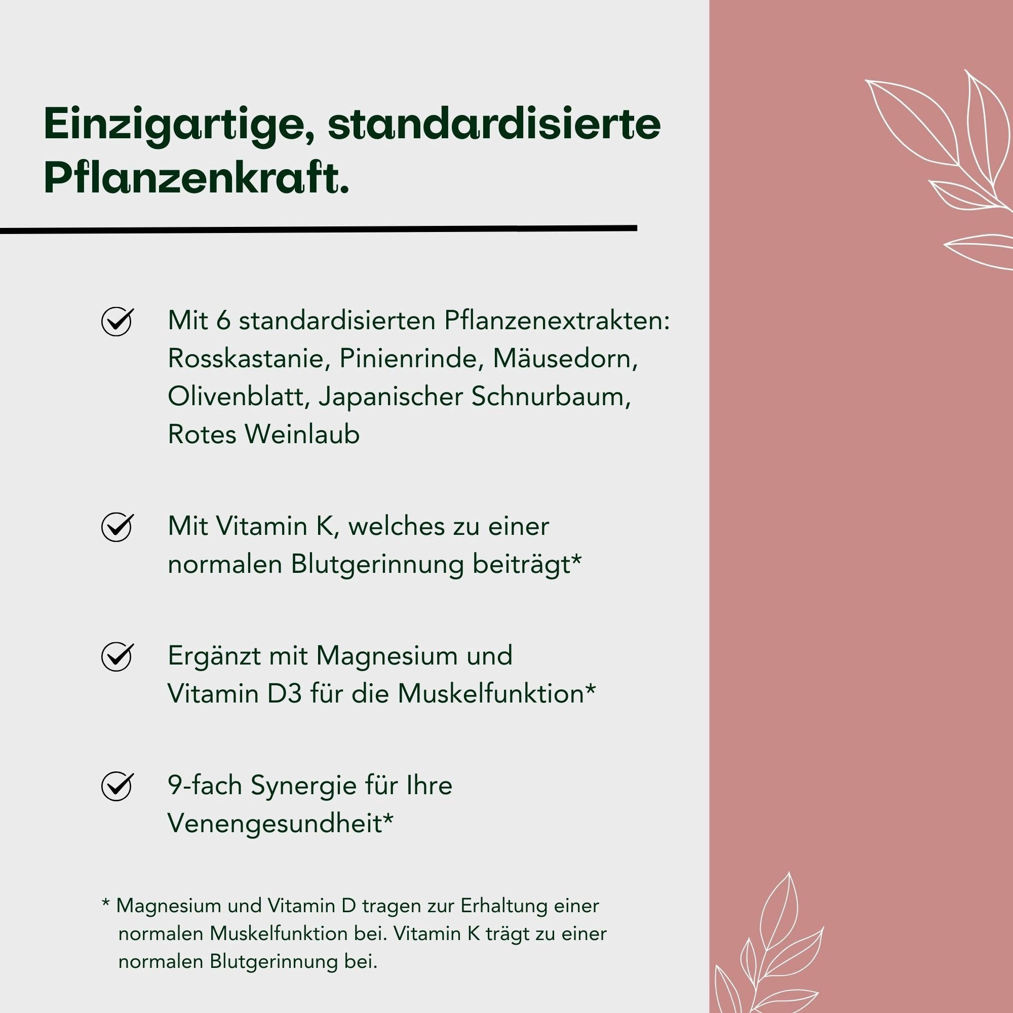 Aura Natura AuraNatura® VenenGut, Venen-Kapseln mit Rosskastanien & Weinlaub Kapseln