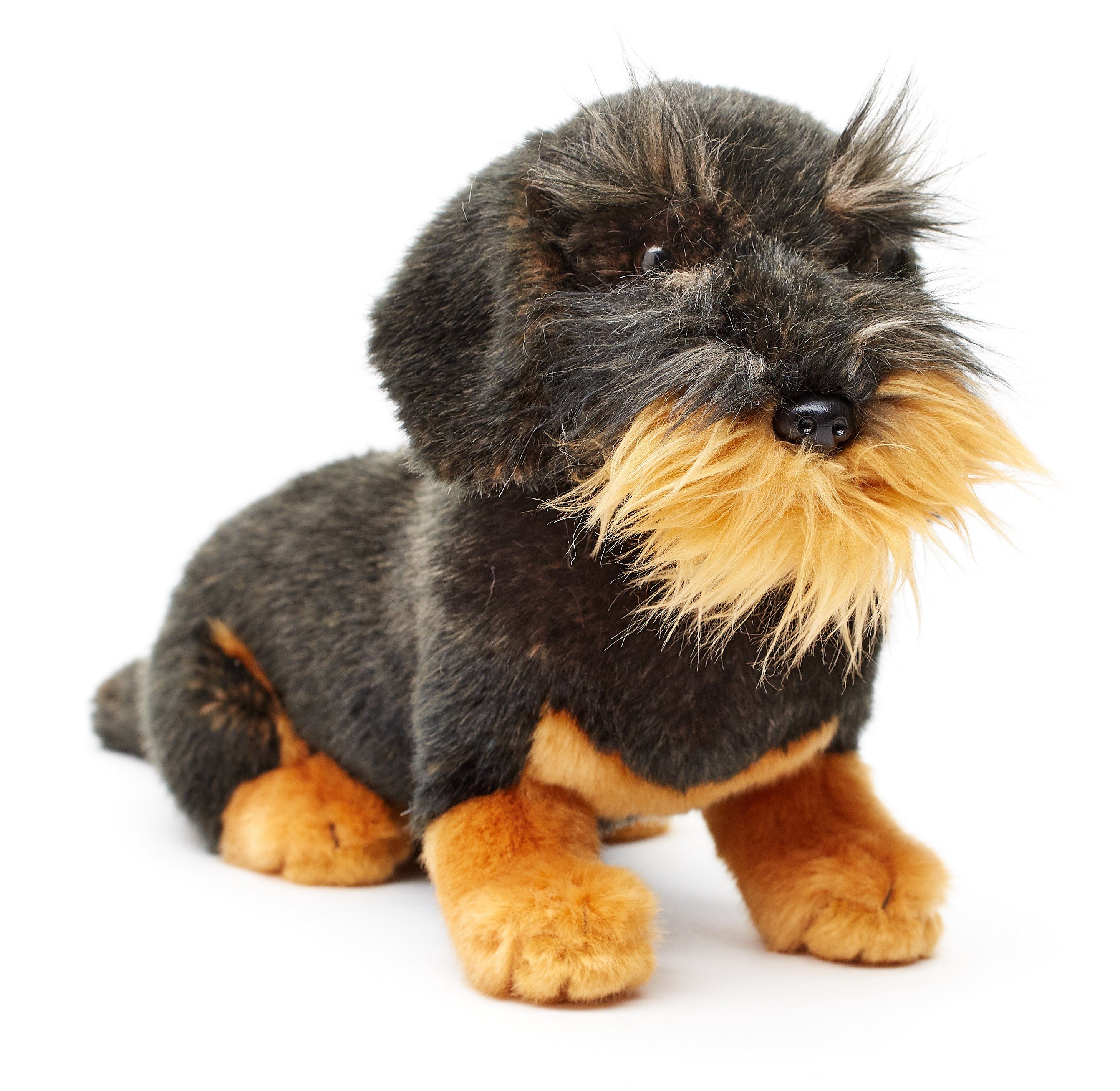 Uni-Toys Kuscheltier Rauhaardackel - m./o. Leine - 24 cm - Plüsch-Hund, Dac günstig online kaufen