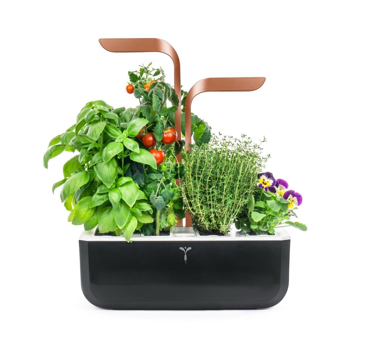 Veritable Anzuchttopf Véritable SMART (1 St)