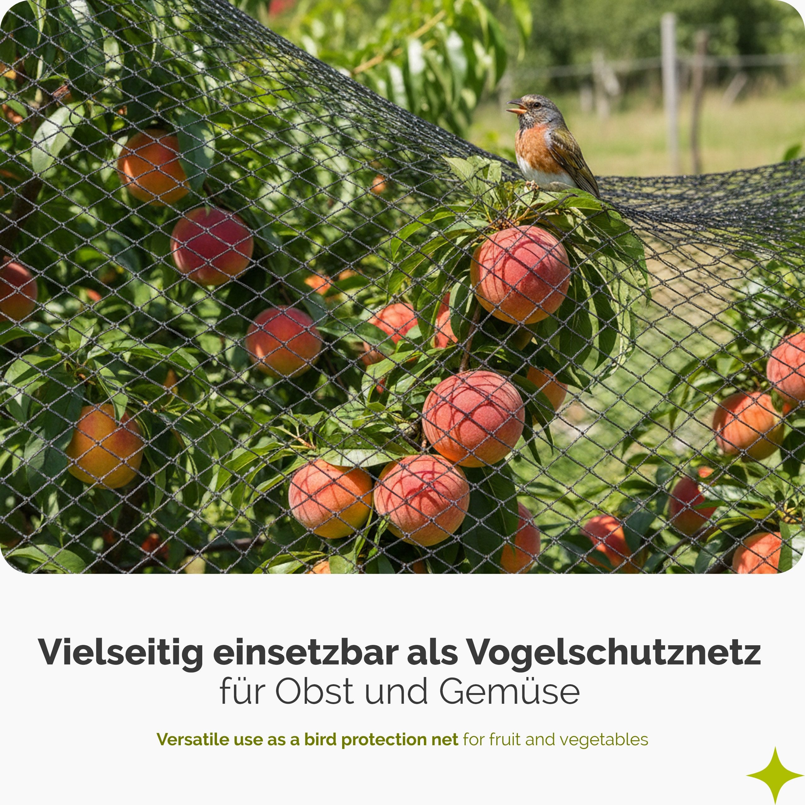 Garronda Schutznetz Vogelschutznetz HDPE feinmaschig 13 × 13 mm UV-beständig GD-0195, BxL: 2x3 m, (1-St), UV-beständig, feinmaschiger Schutz für Beeren und Gemü – Bild 3 von 5