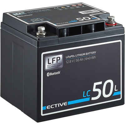 ECTIVE ECTIVE 12V 50Ah LiFePo4 Lithium Akku BMS Wohnmobil LFP BT Batterie, (12 V V)