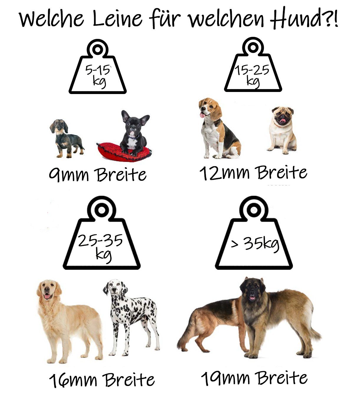bio-leine Schleppleine Biothane 10m Schleppleine 12 mm - Hundeleine mit Handschlaufe, Robust, 34 Farben, reißfest